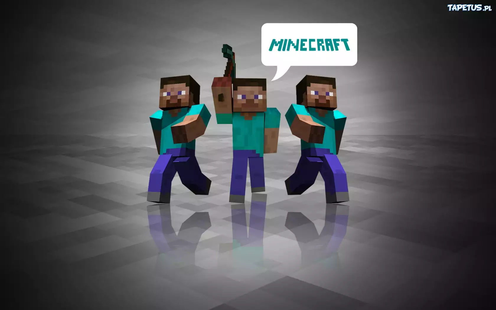 Minecraft, Steve, Ludzie, Kilof, Odblask