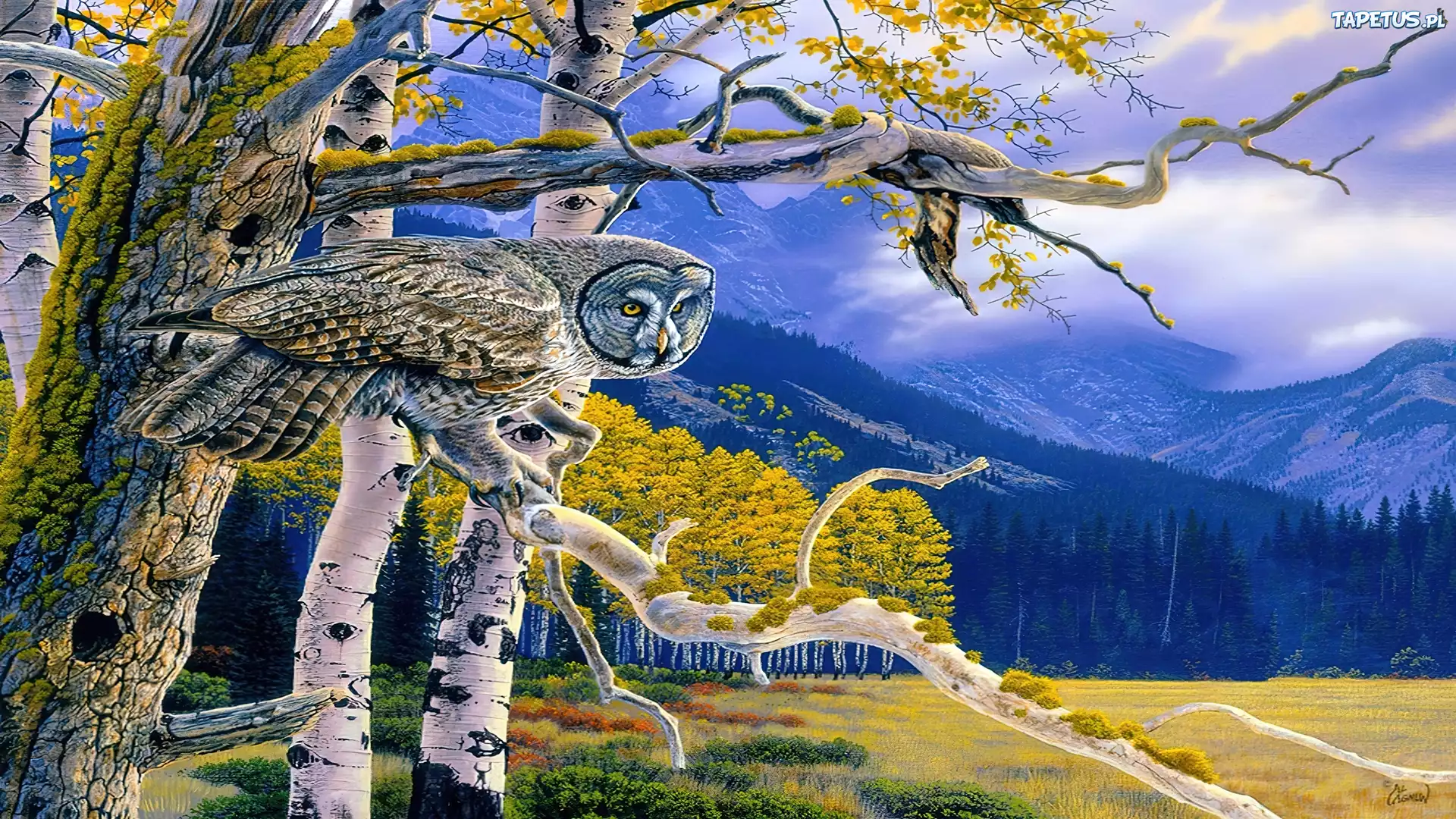Sowa, Puchacz, Drzewa, Góry