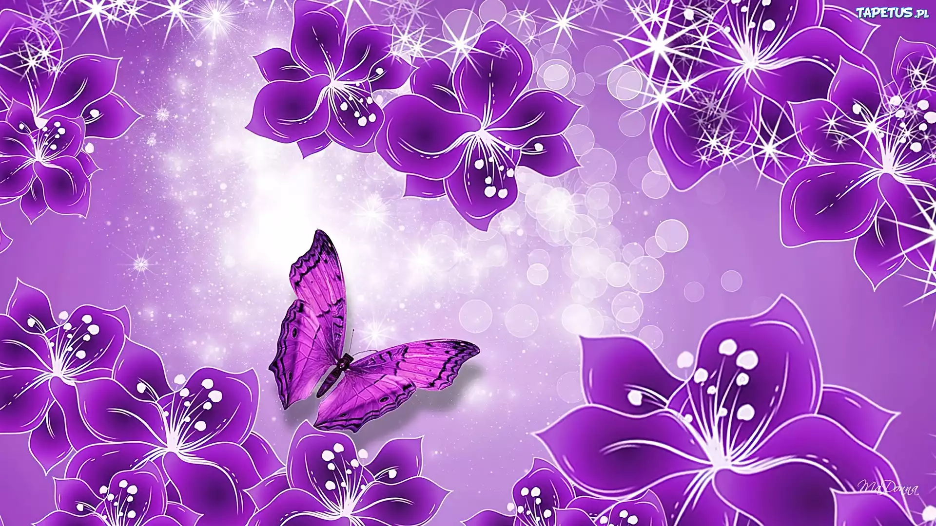 Fioletowe, Kwiaty, Motyl, Art