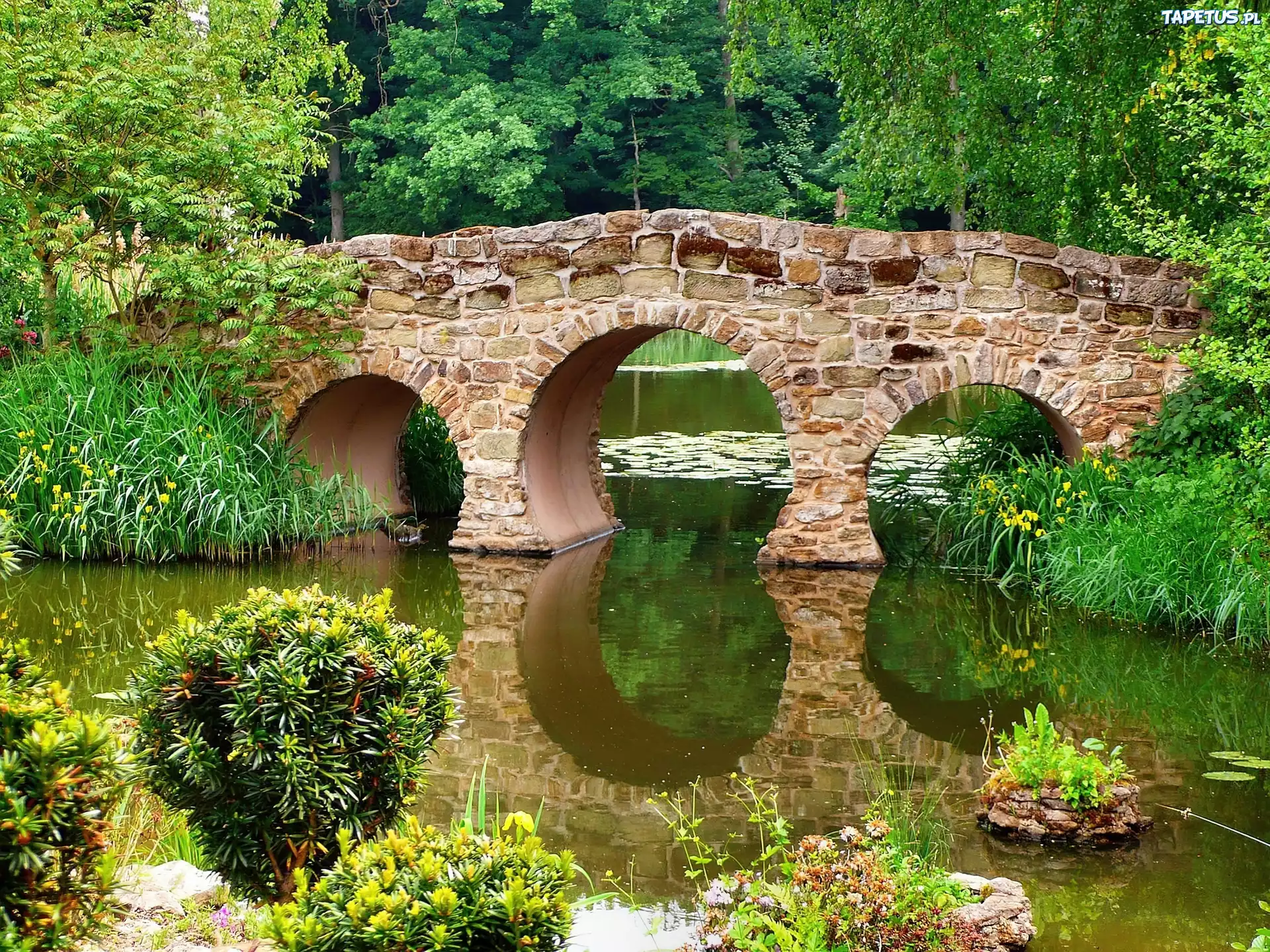 Park, Rzeka, Kamienny, Most