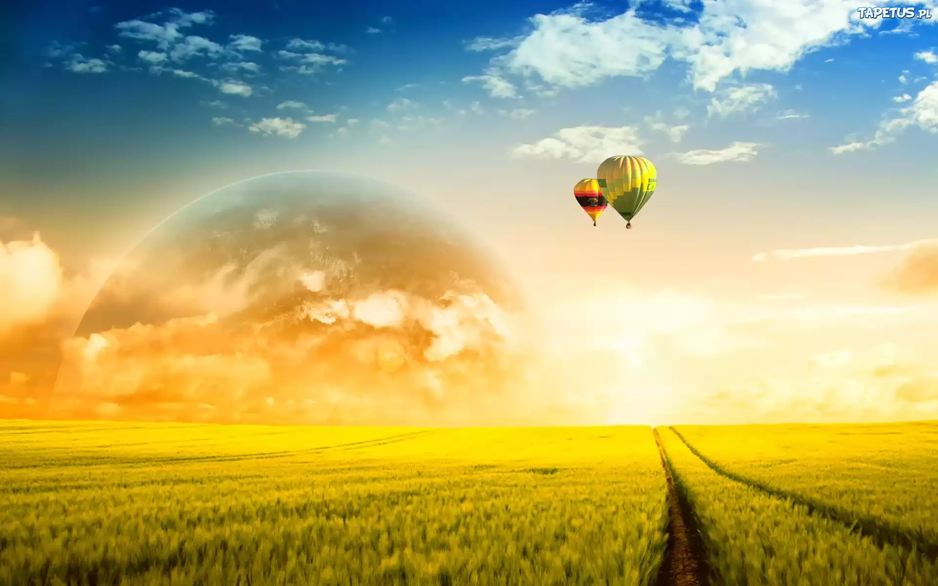 Zachód, Słońca, Pola, Balony