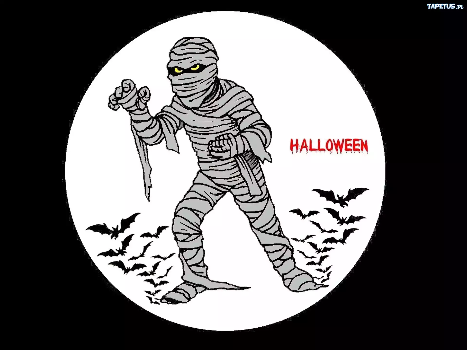 Halloween,mumia