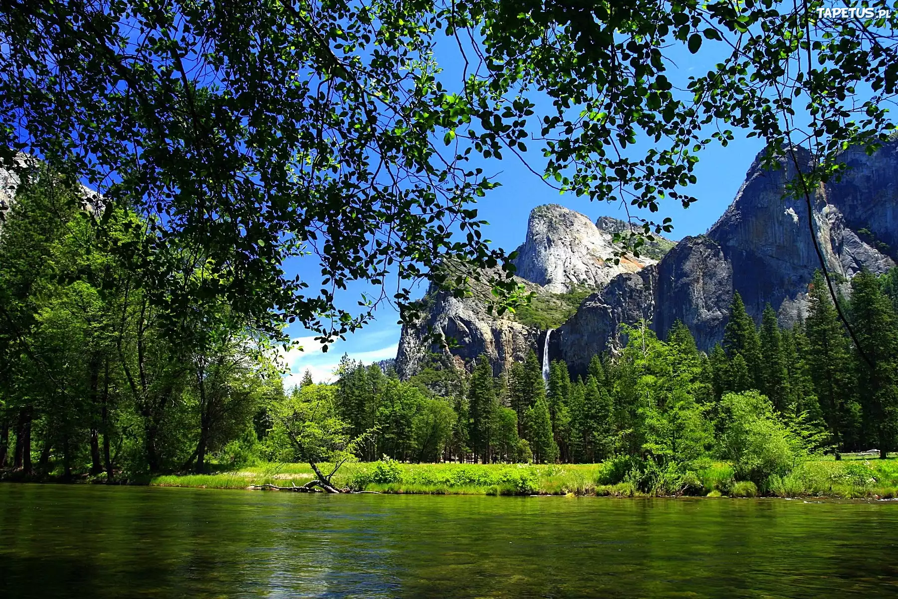 Góry, Las, Rzeka, Park Narodowy Yosemite, Kalifornia
