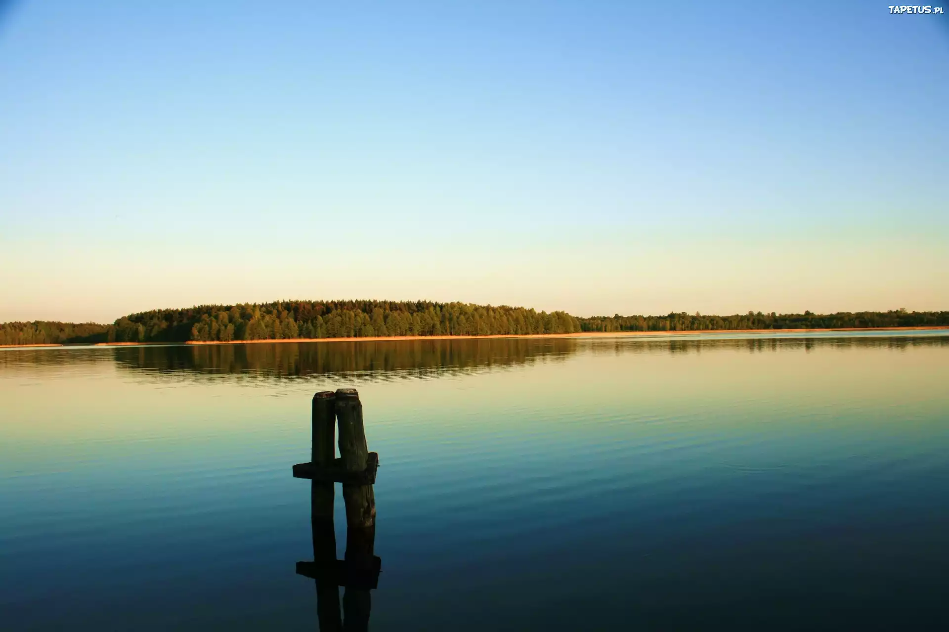 Jezioro, Las, Kołek, Do, Cumowania, Łodzi