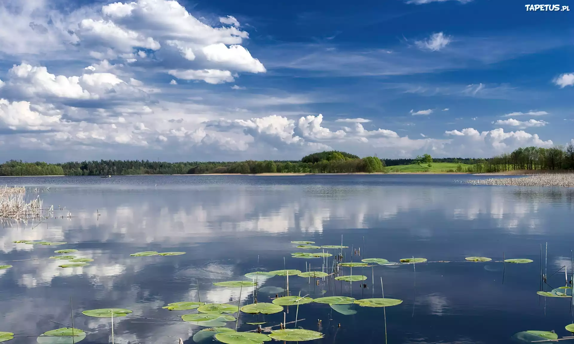 Jezioro, Las, Chmury