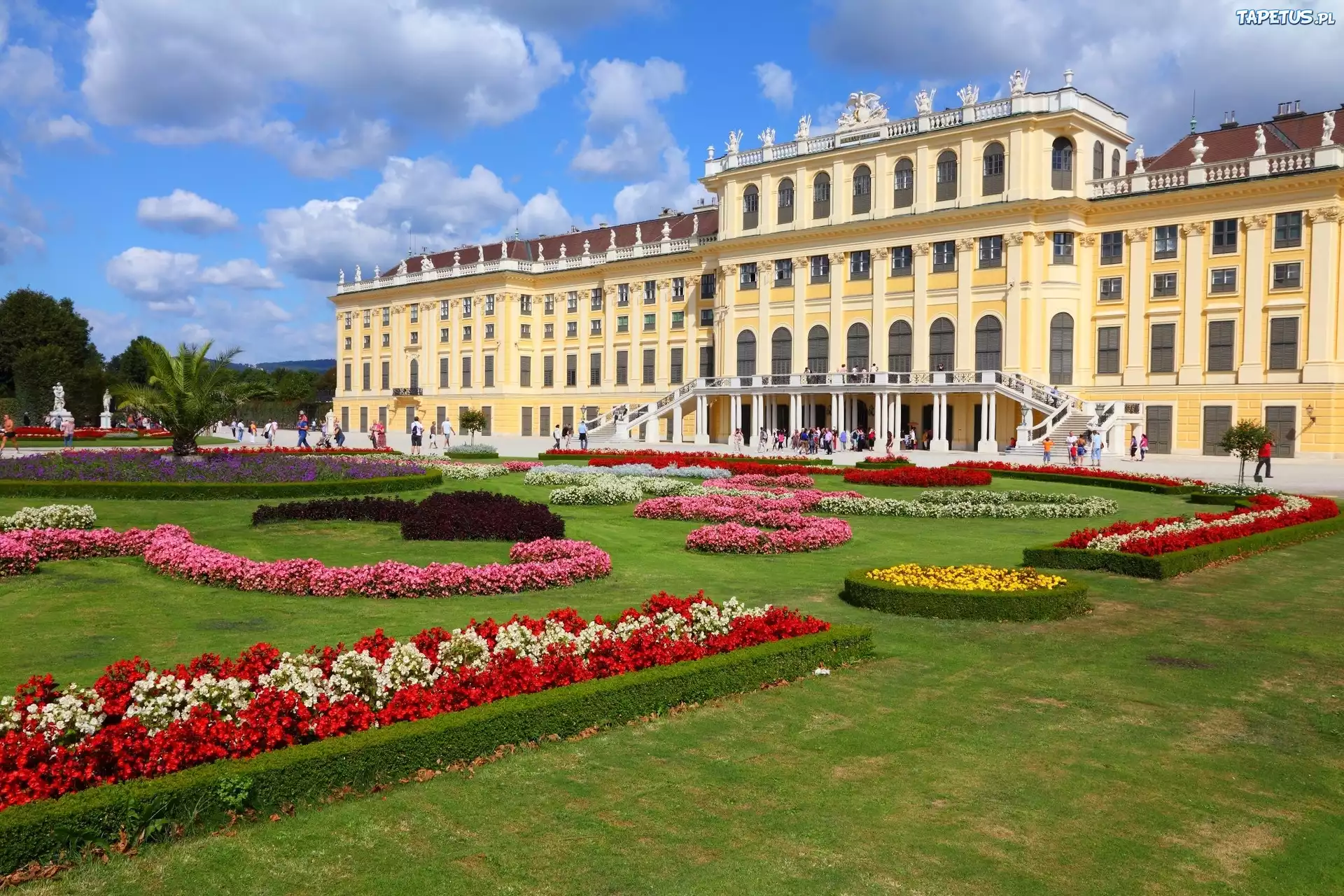 Pałac, Schonbrunn, Ogrody