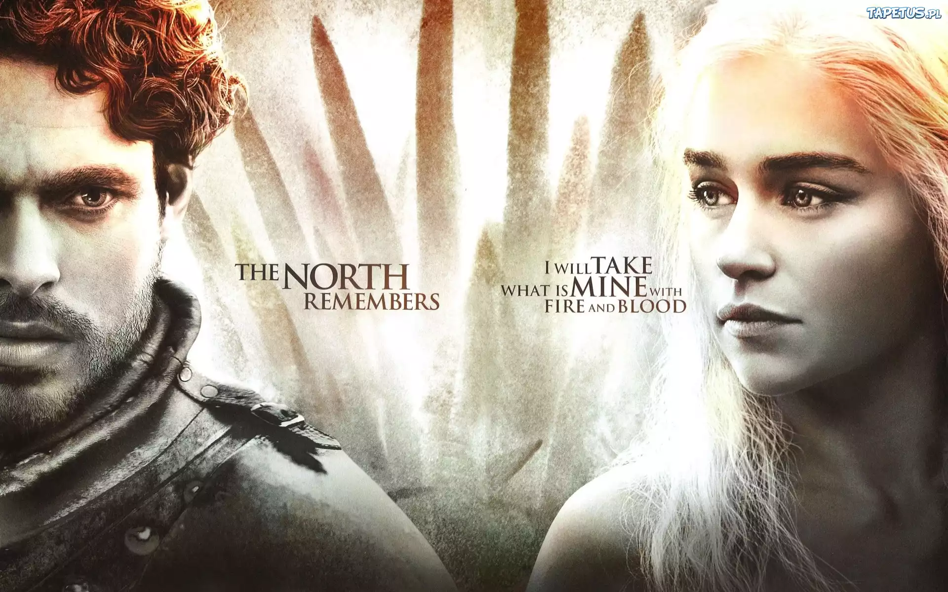 Rob Stark, Daenerys