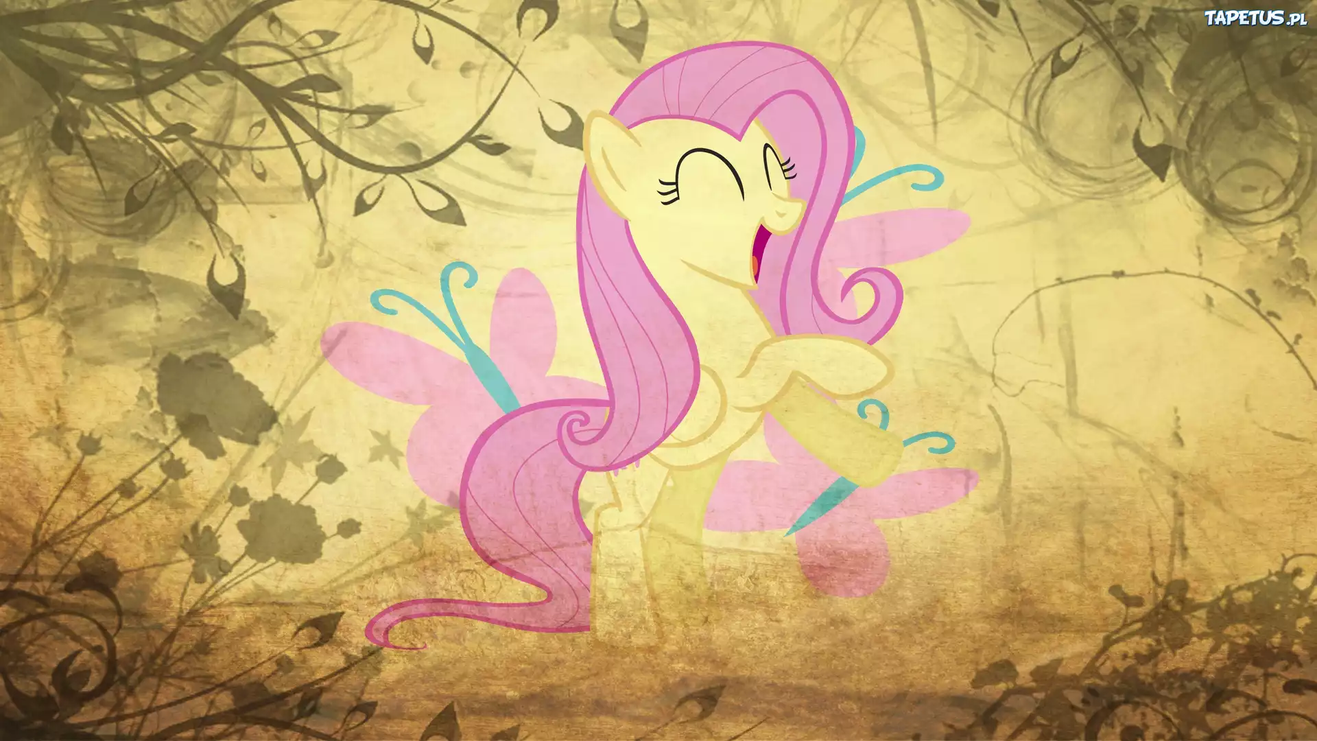 My Little Pony Przyjaźń To Magia, Fluttershy