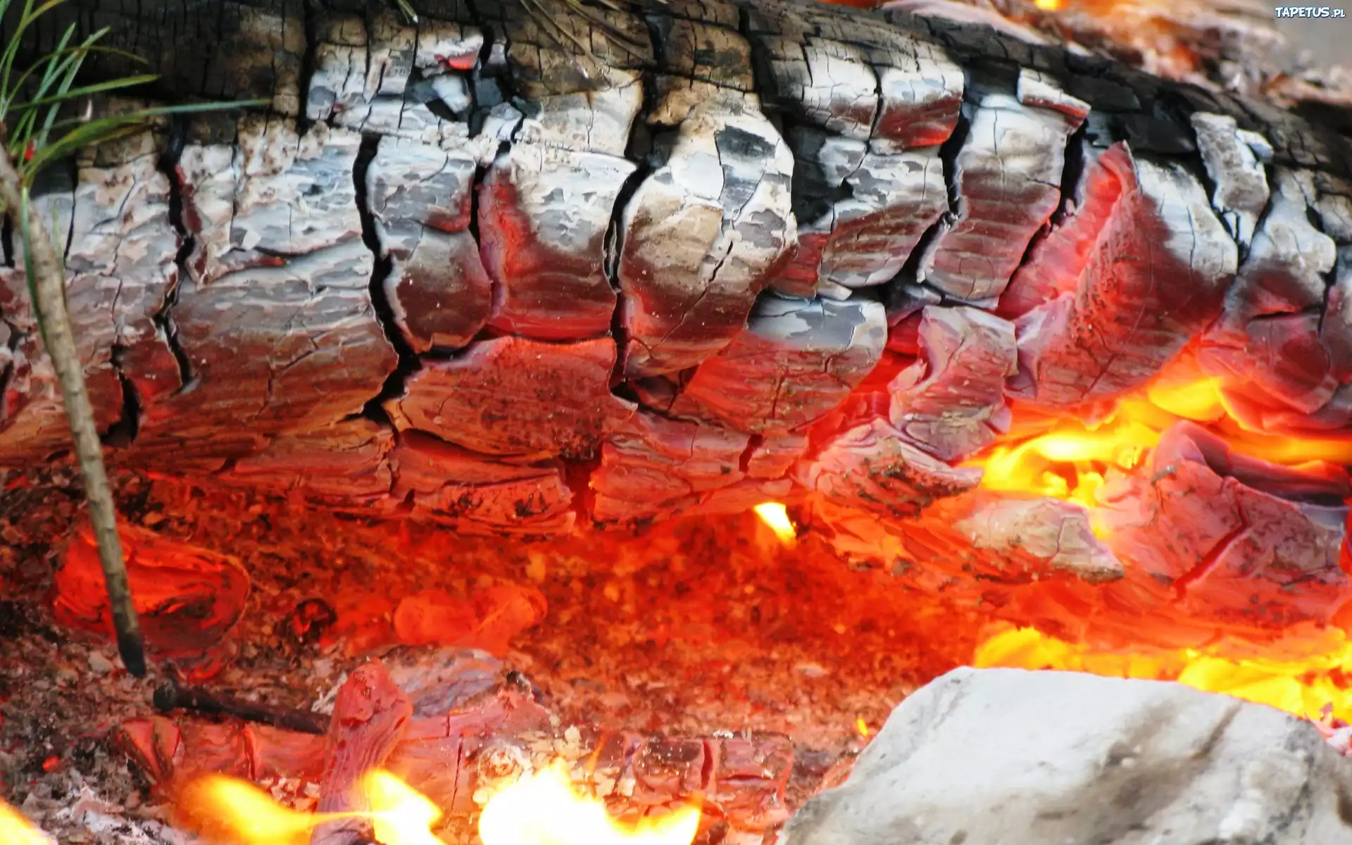 Ogień, Ognisko