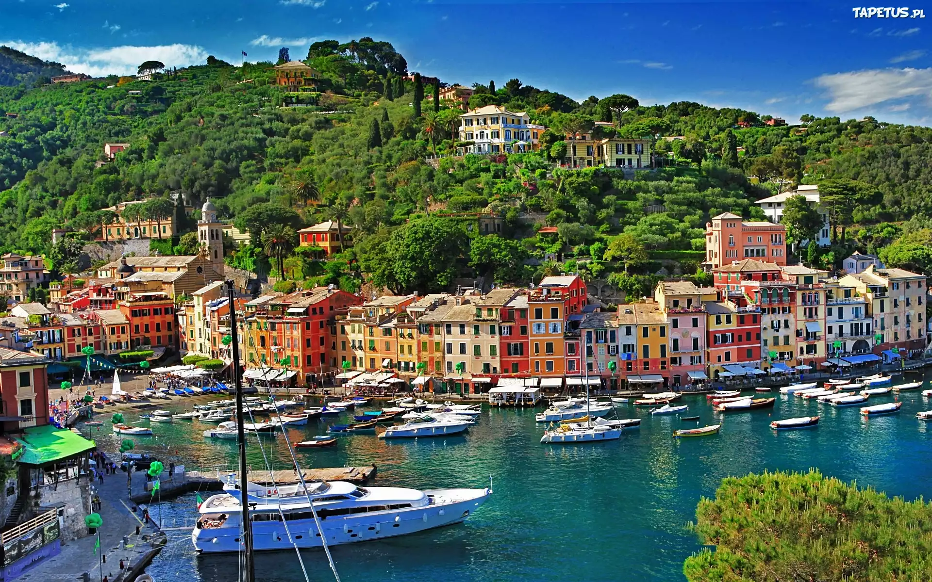 Wzgórza, Domy, Portofino, Włochy