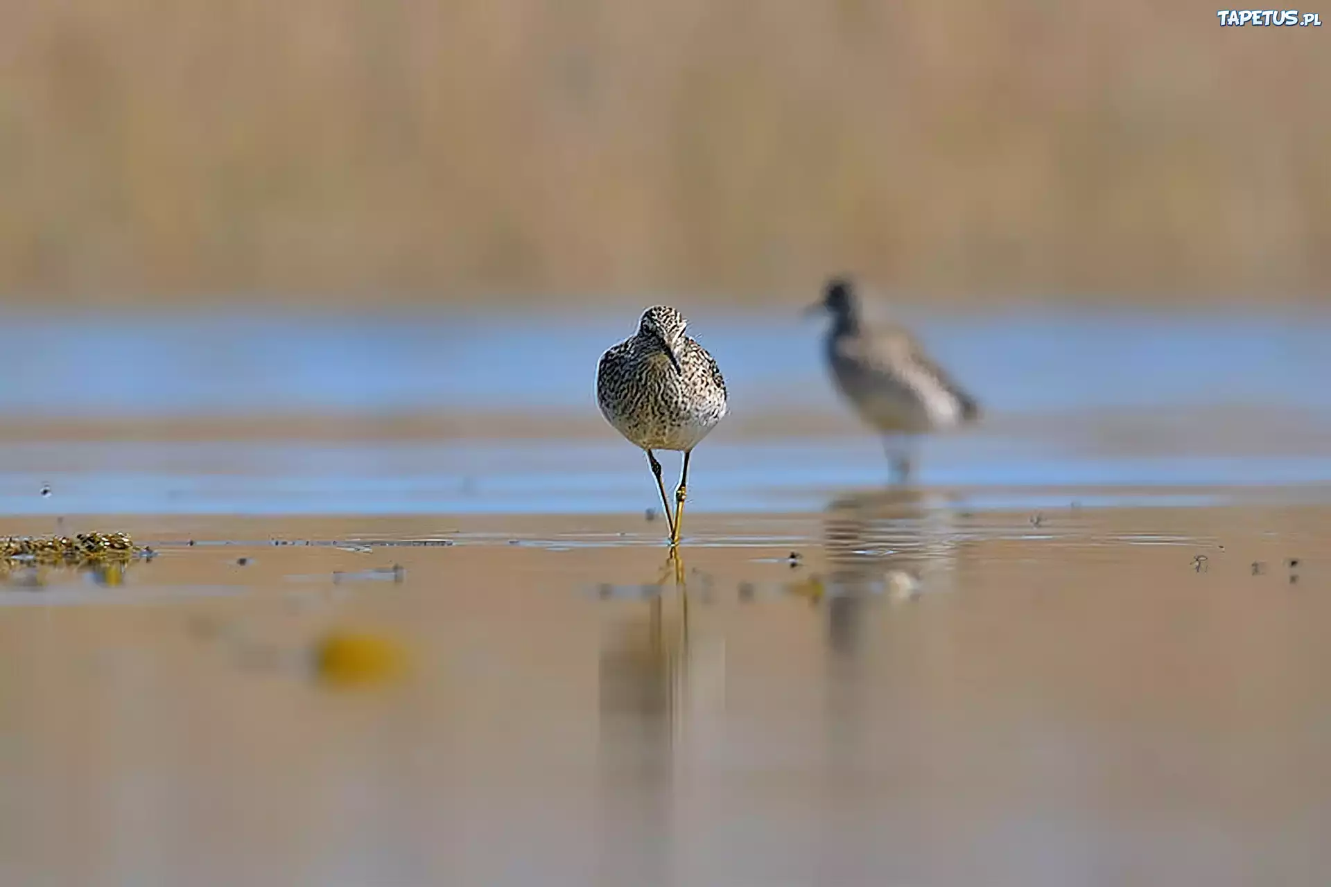 Łęczak, Rzeka, Plaża