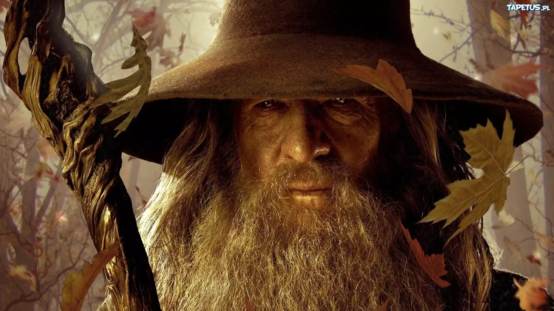 Ian McKellen, Gandalf, Liście