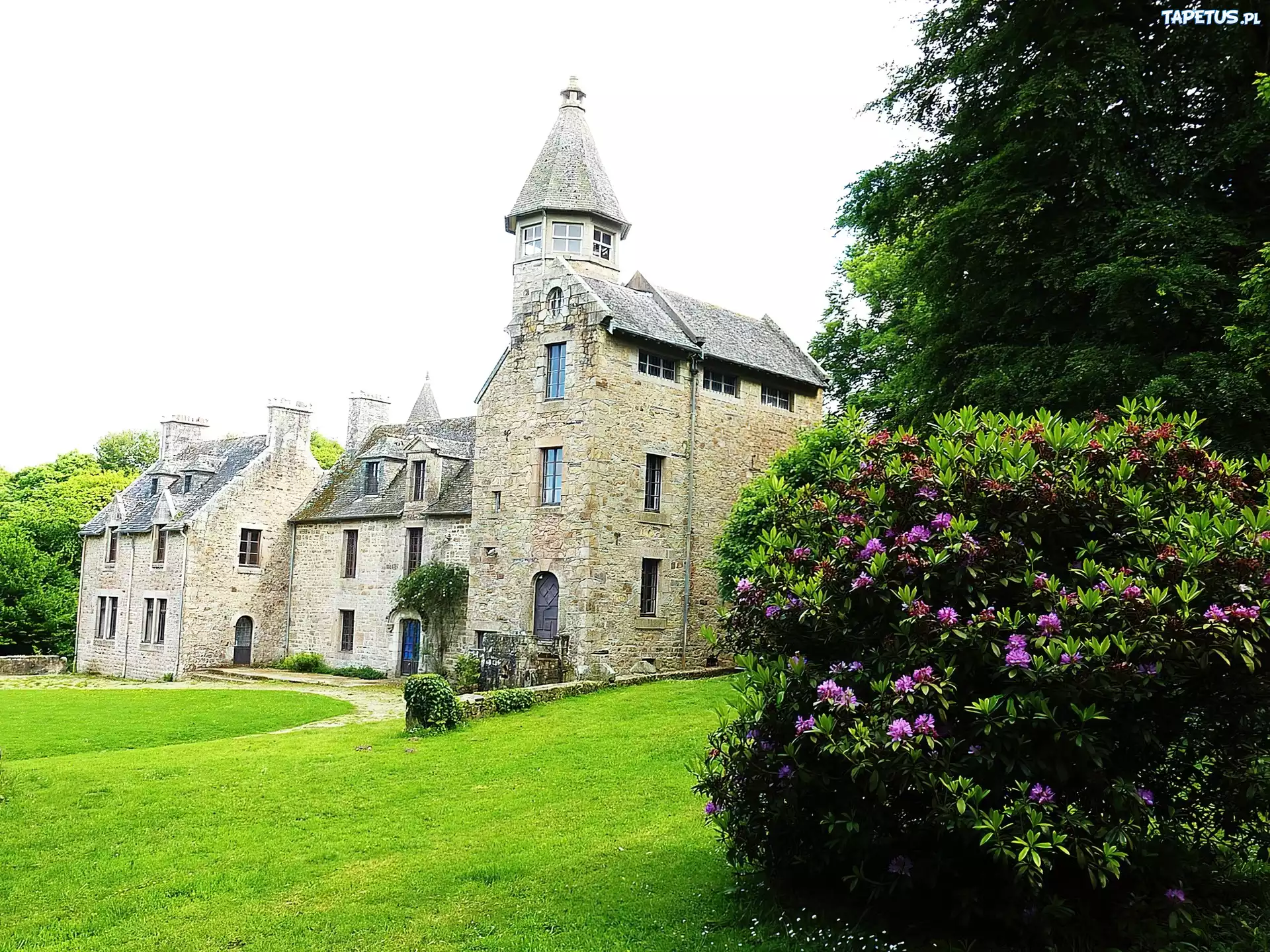 Zamek, Suscinio, Francja