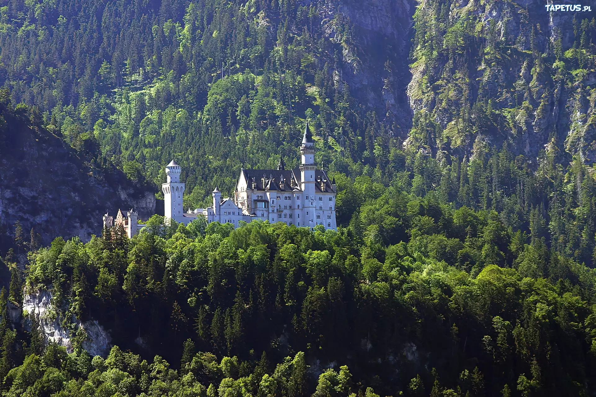 Zamek, Neuschwanstein, Lasy, Góry, Niemcy