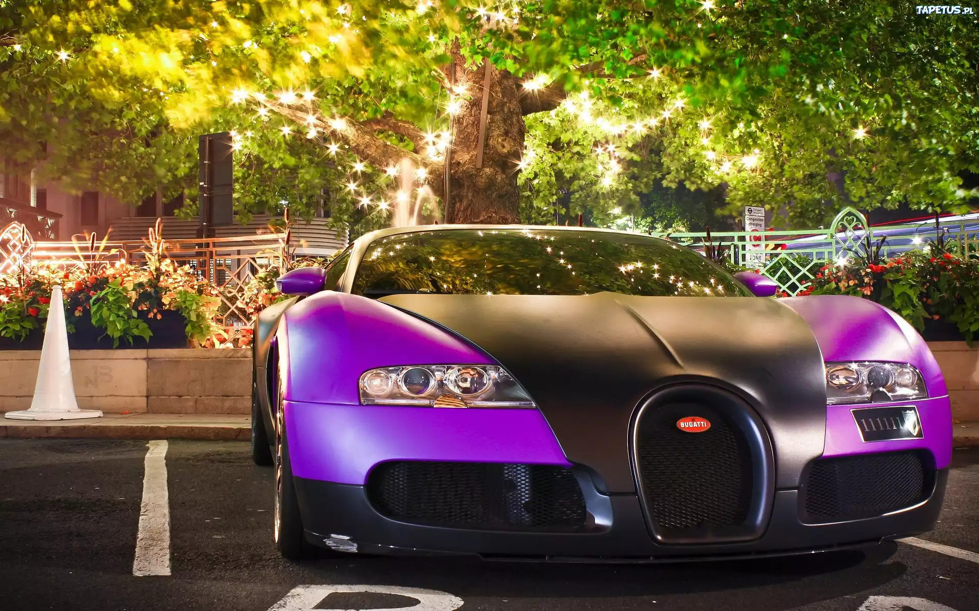 Fioletowy, Bugatti Veyron