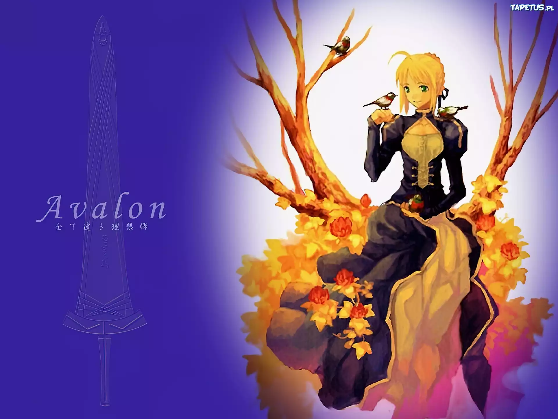 Fate Stay Night, Ptaki, Czarna, Sukienka