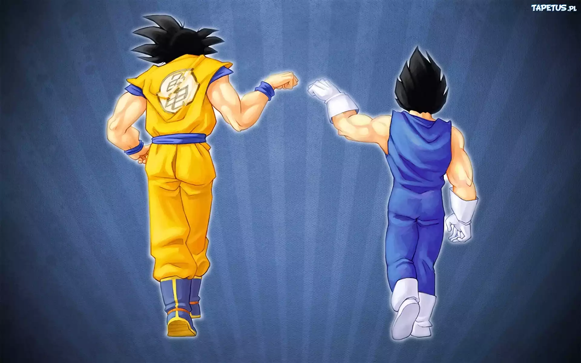 Dragon Ball Z, Son Goku, Vegeta