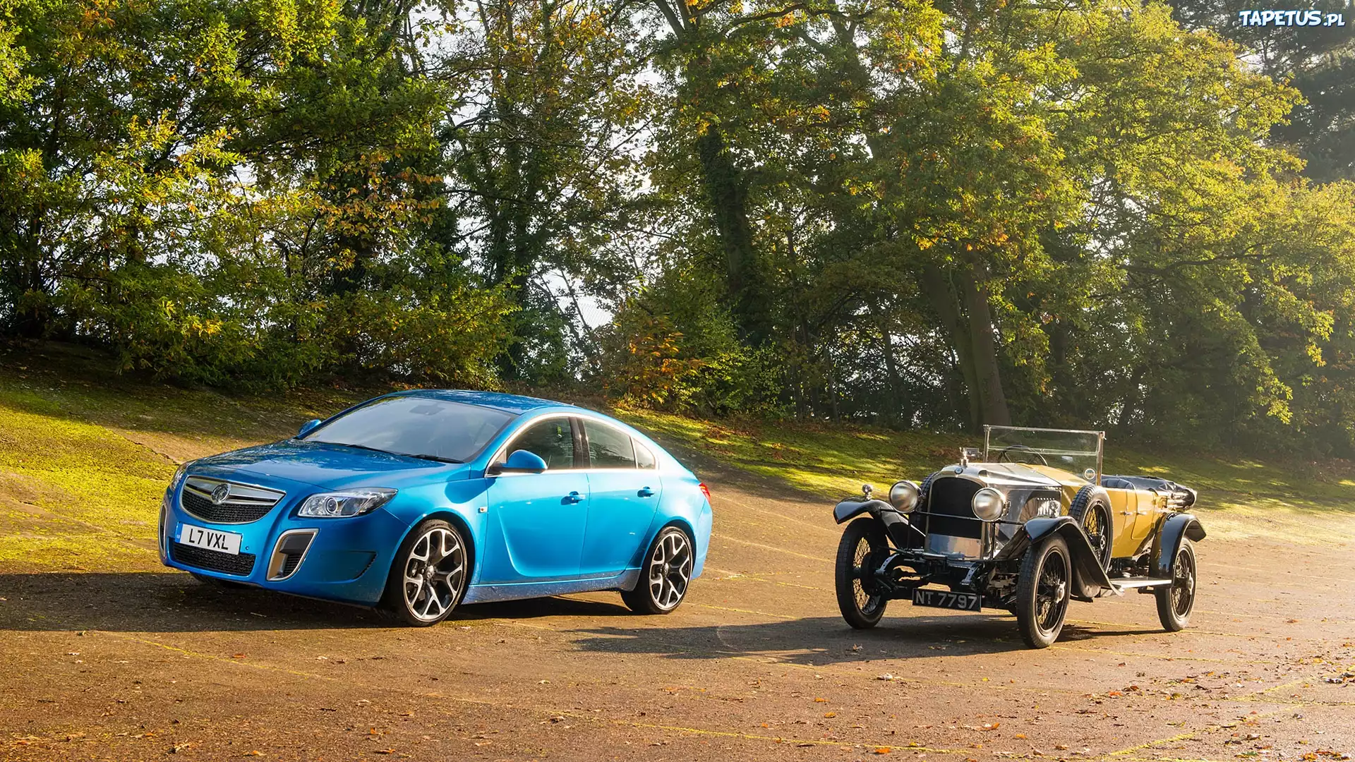 Opel Insignia OPC, Zabytkowy, Zieleń