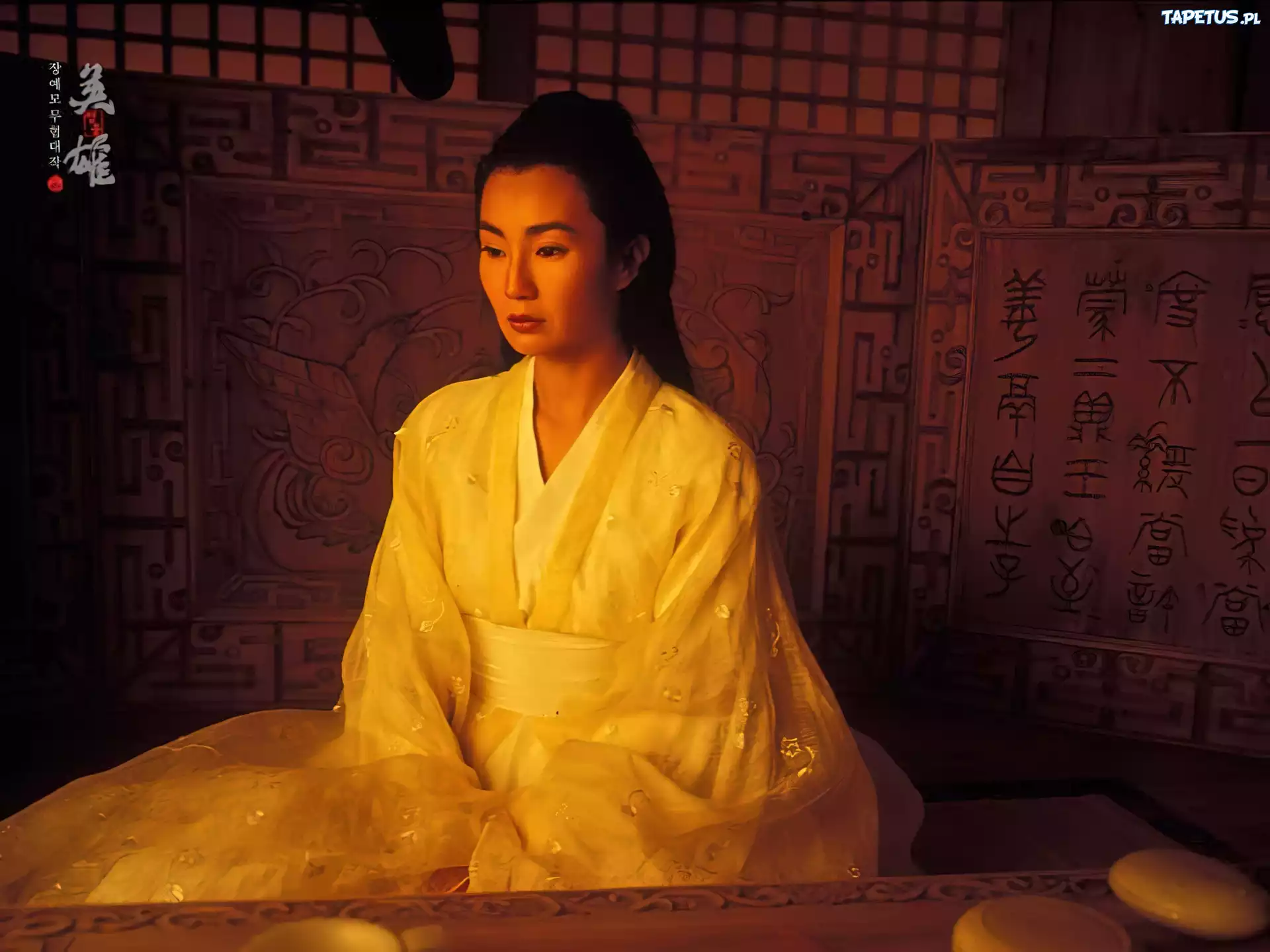 Hero, Zhang Ziyi, suknia