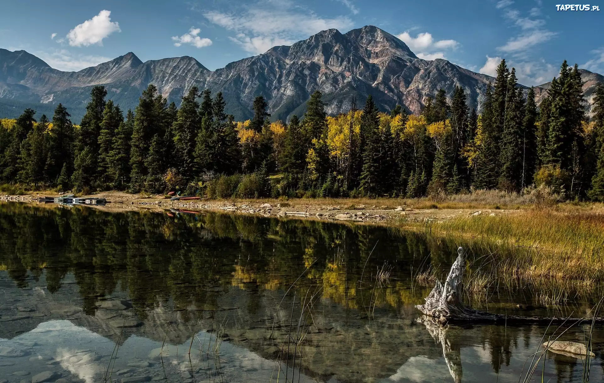 Góry, Las, Rzeka, Alberta, Kanada