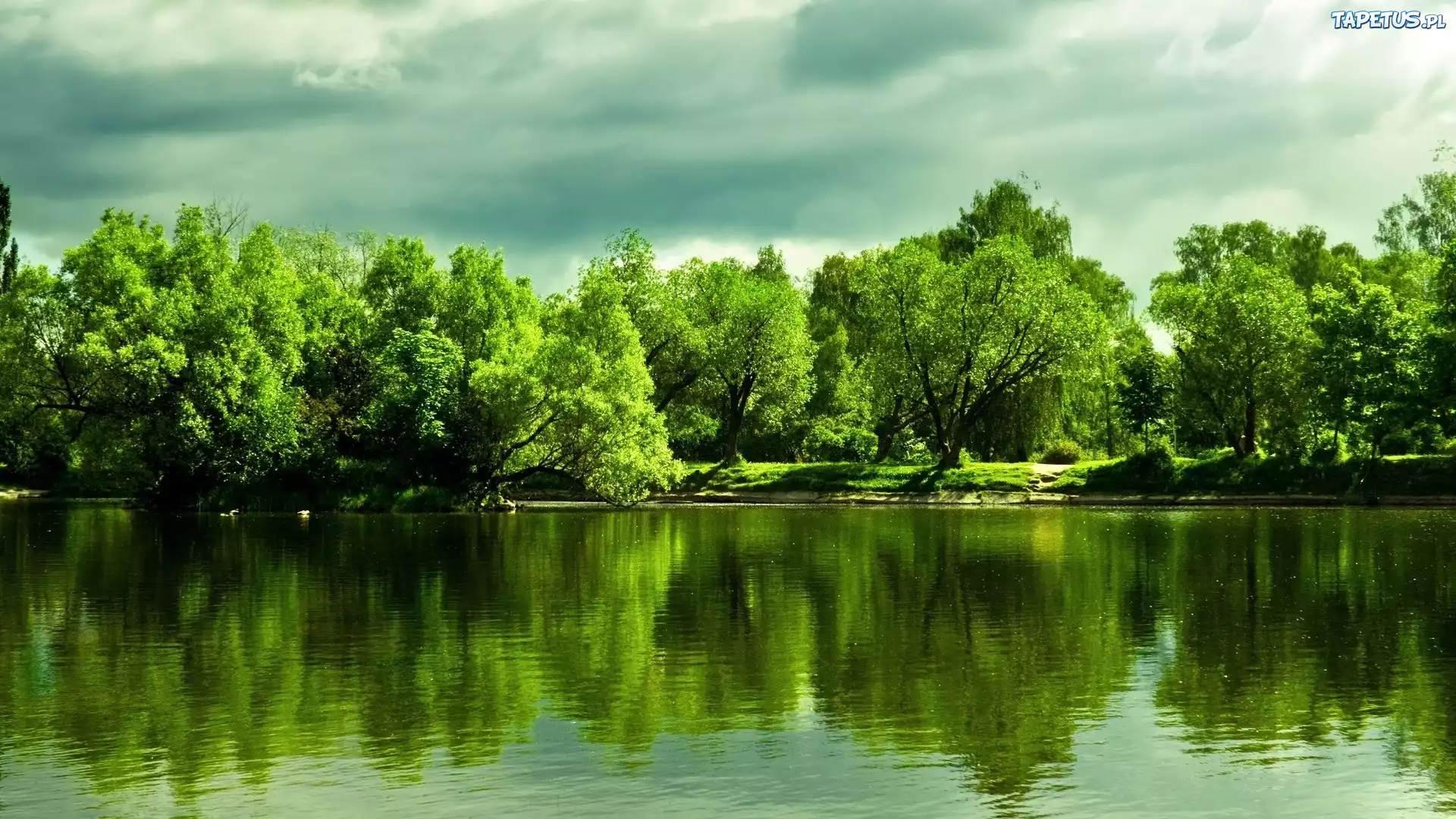 Jezioro, Drzewa, Odbicie