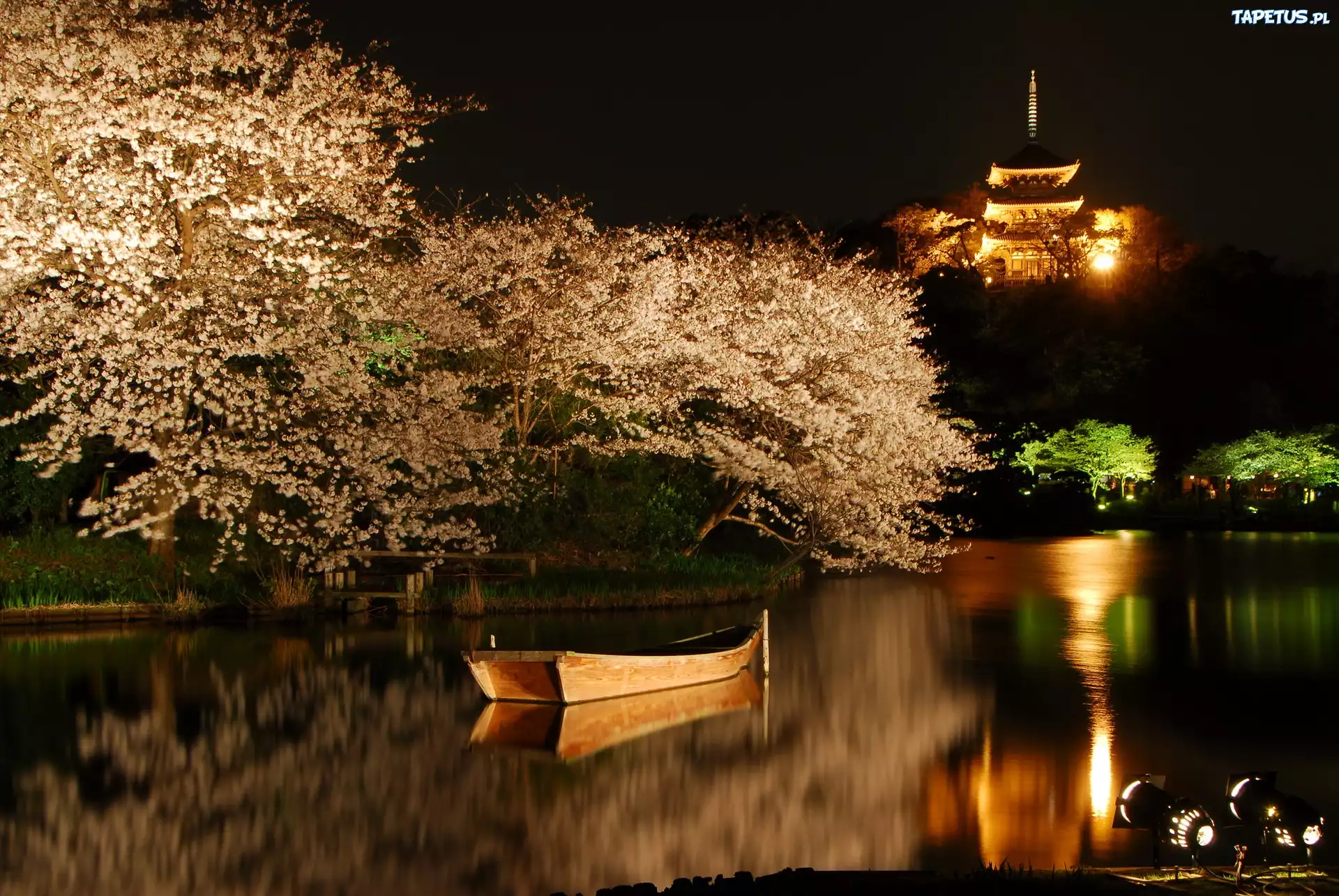 Весенняя ночь. Японский сад ночью. Ночные пейзажи Японии. Япония природа вечерняя.