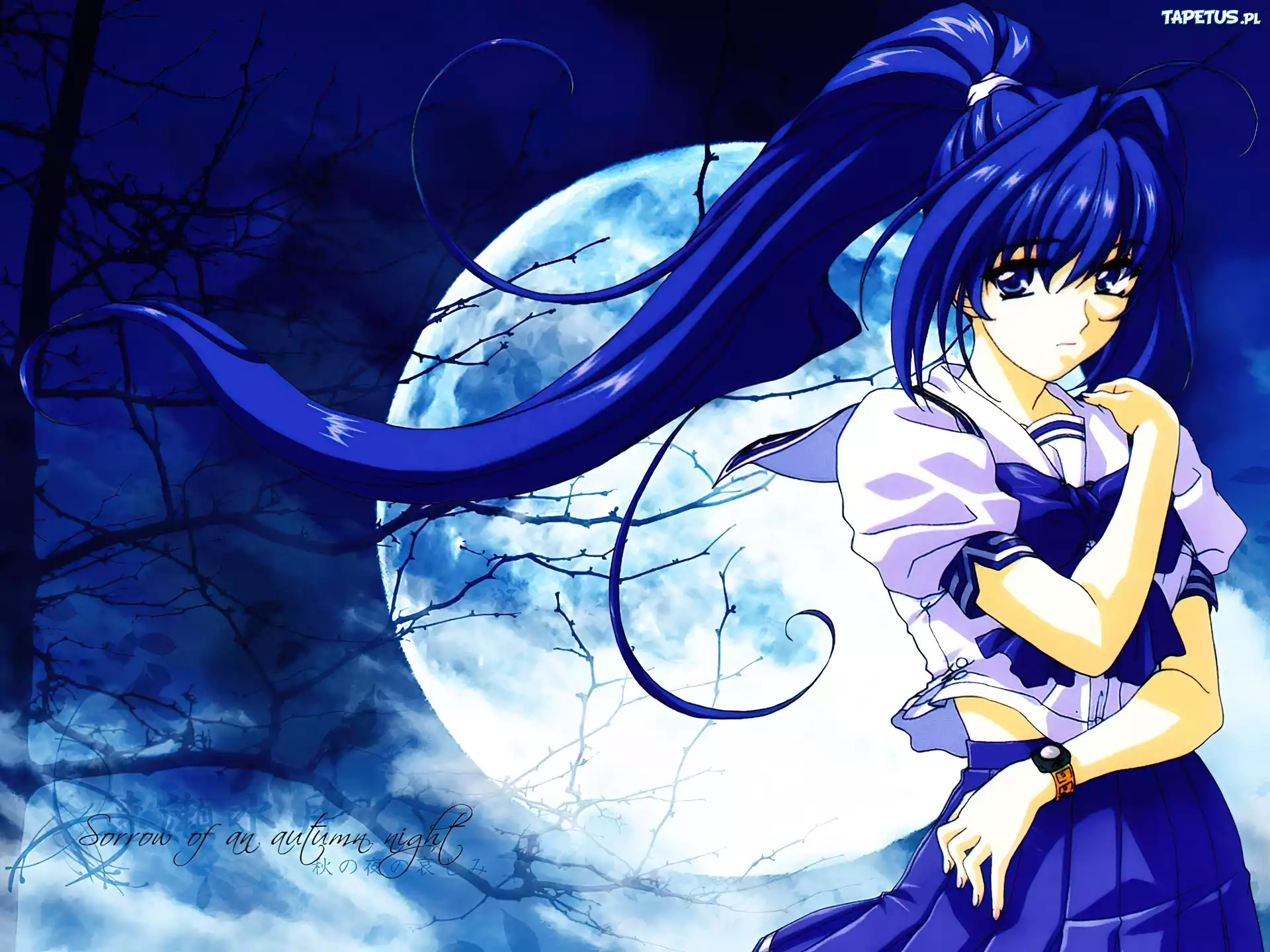 Kimi Ga Nozmu Eien, moon, kobieta
