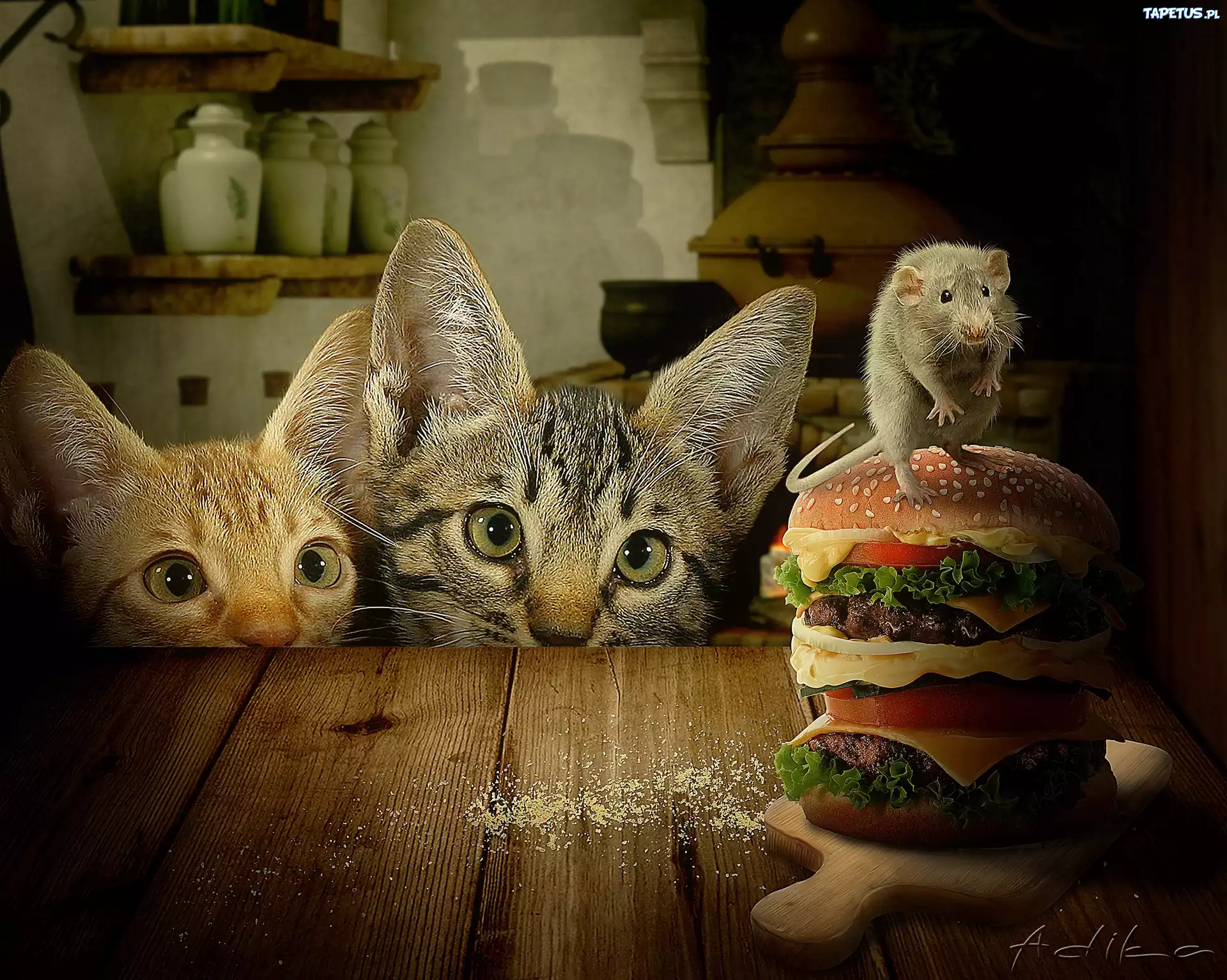 Dwa, Koty, Szczurek, Hamburgery