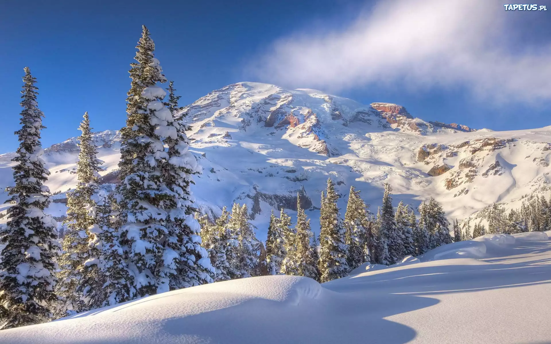 природа скалы деревья горы снег зима nature rock trees mountains snow winter загрузить