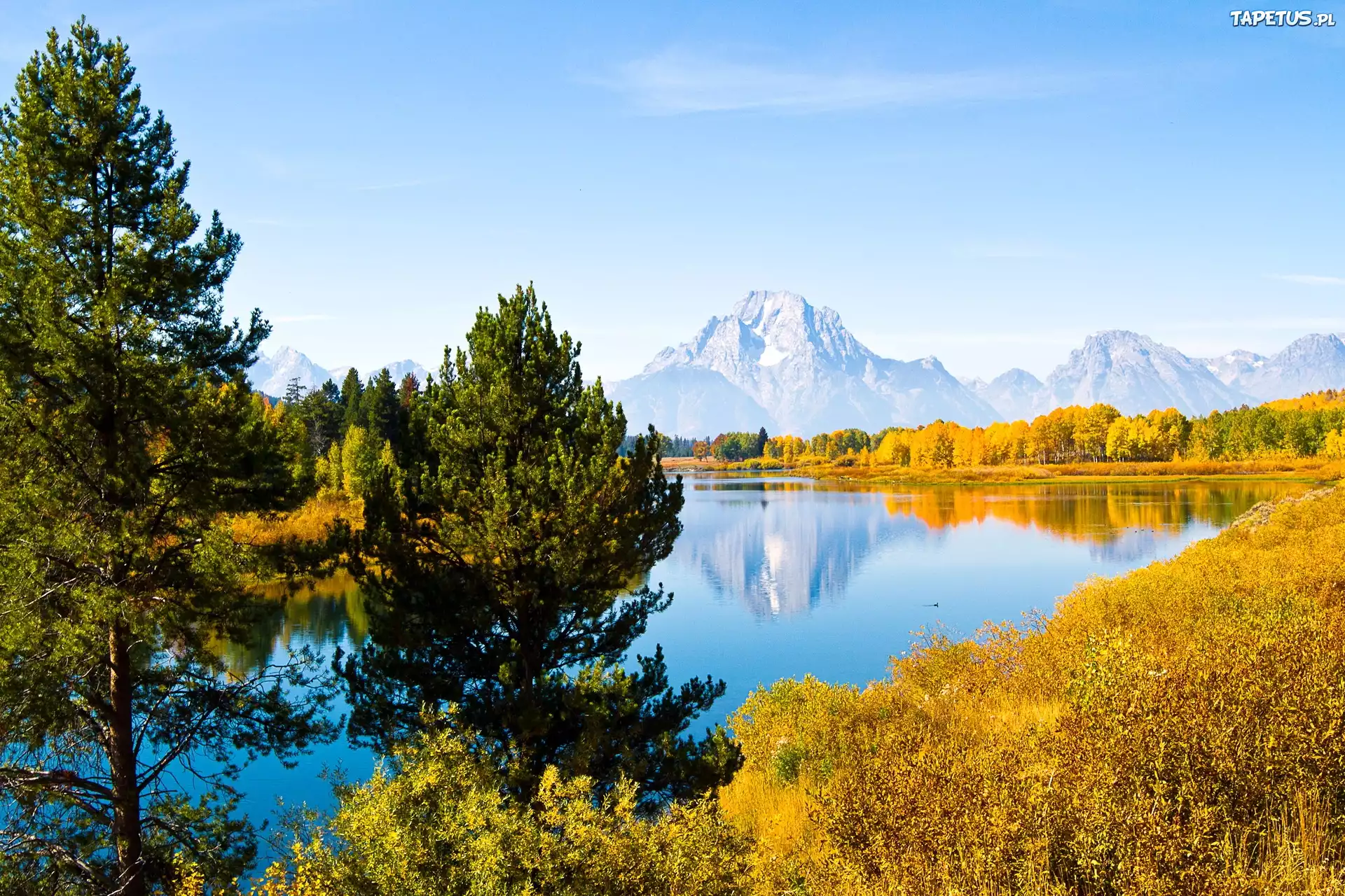 Drzewa, Jezioro, Góry, Grand Teton, Wyoming