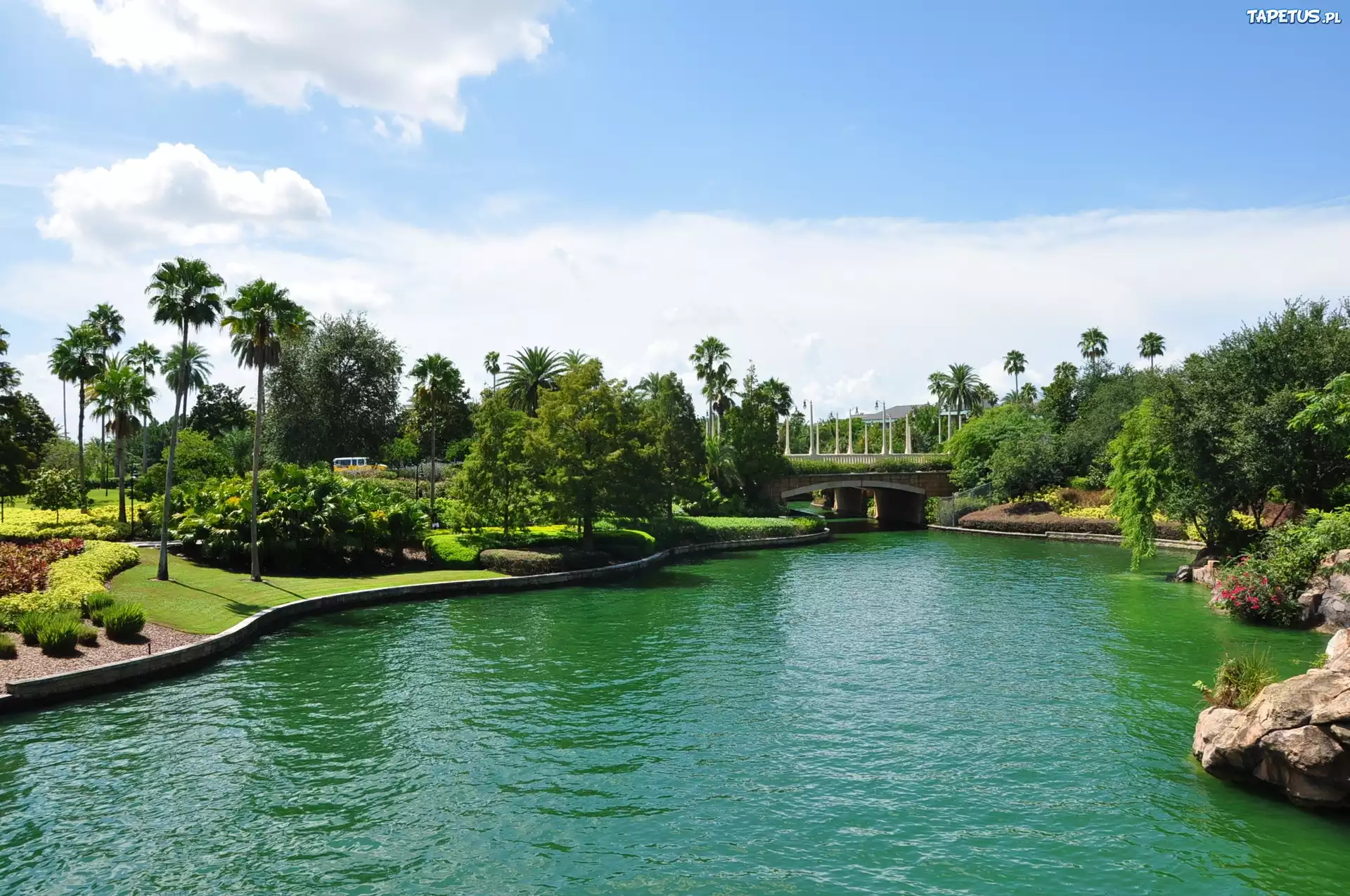 Rzeka, Most, Park