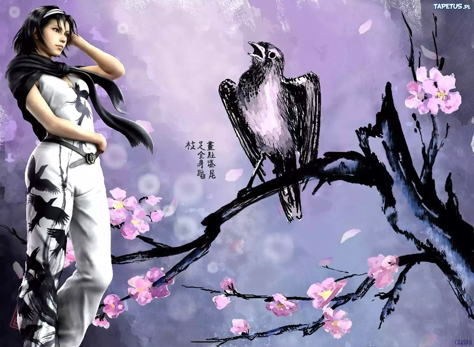 Tekken Tag Tournament 2, Jun Kazama