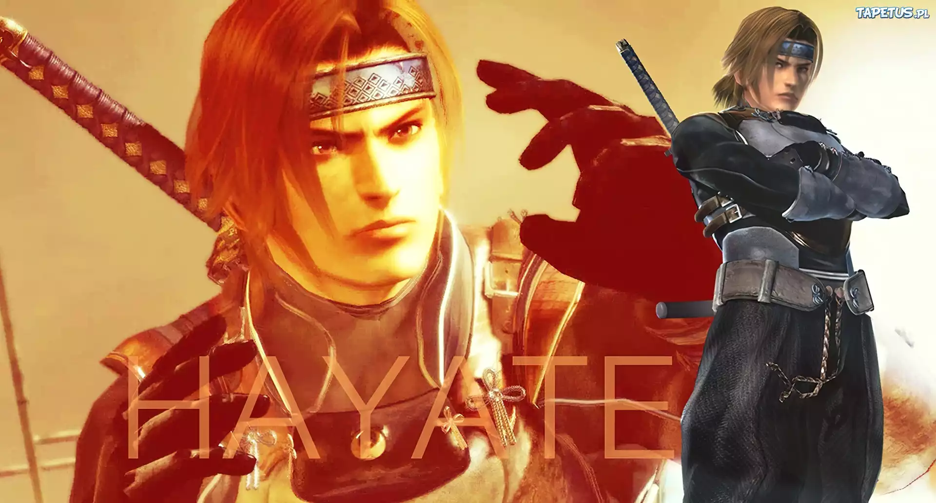 Dead Or Alive 5, Hayate