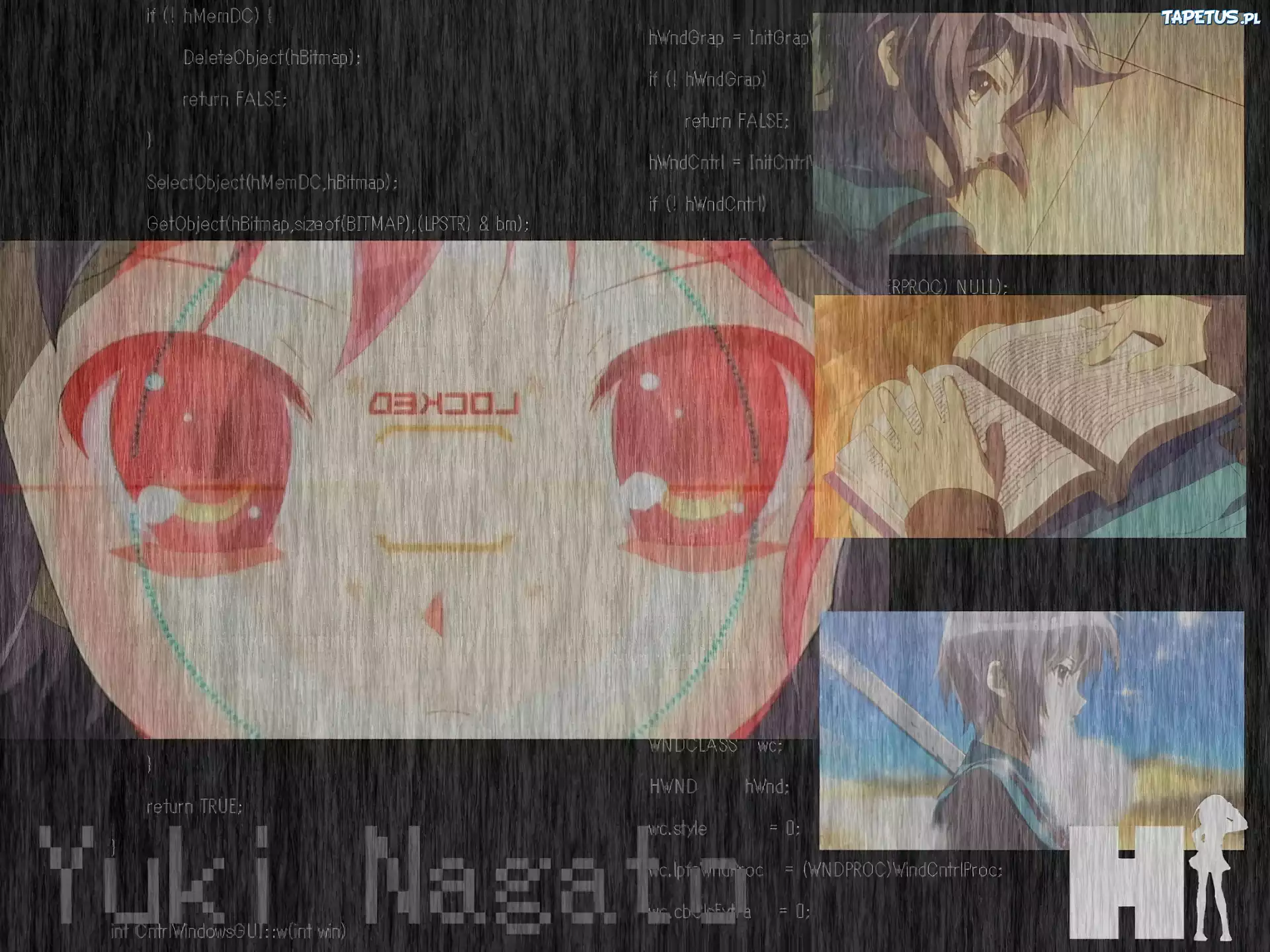 Suzumiya Haruhi No Yuuutsu, Yuki Nagato, książka