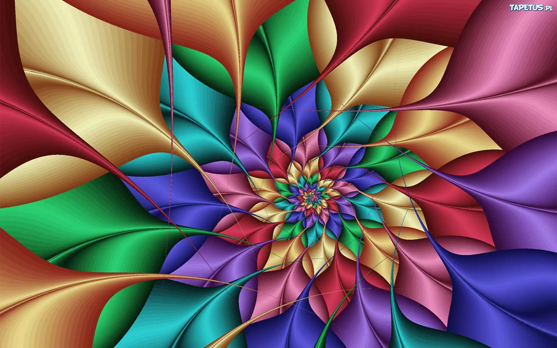 Kolorowy, Kwiat, 3D, Grafika