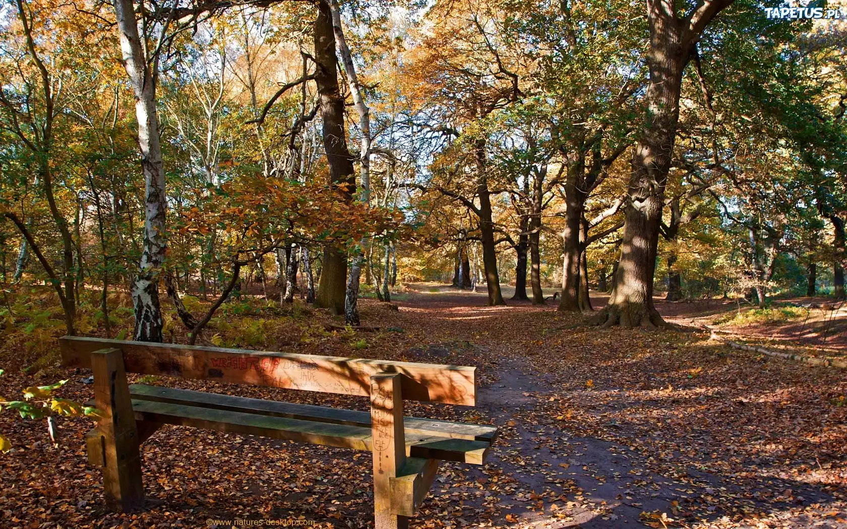 Jesień, Park, Ławeczka