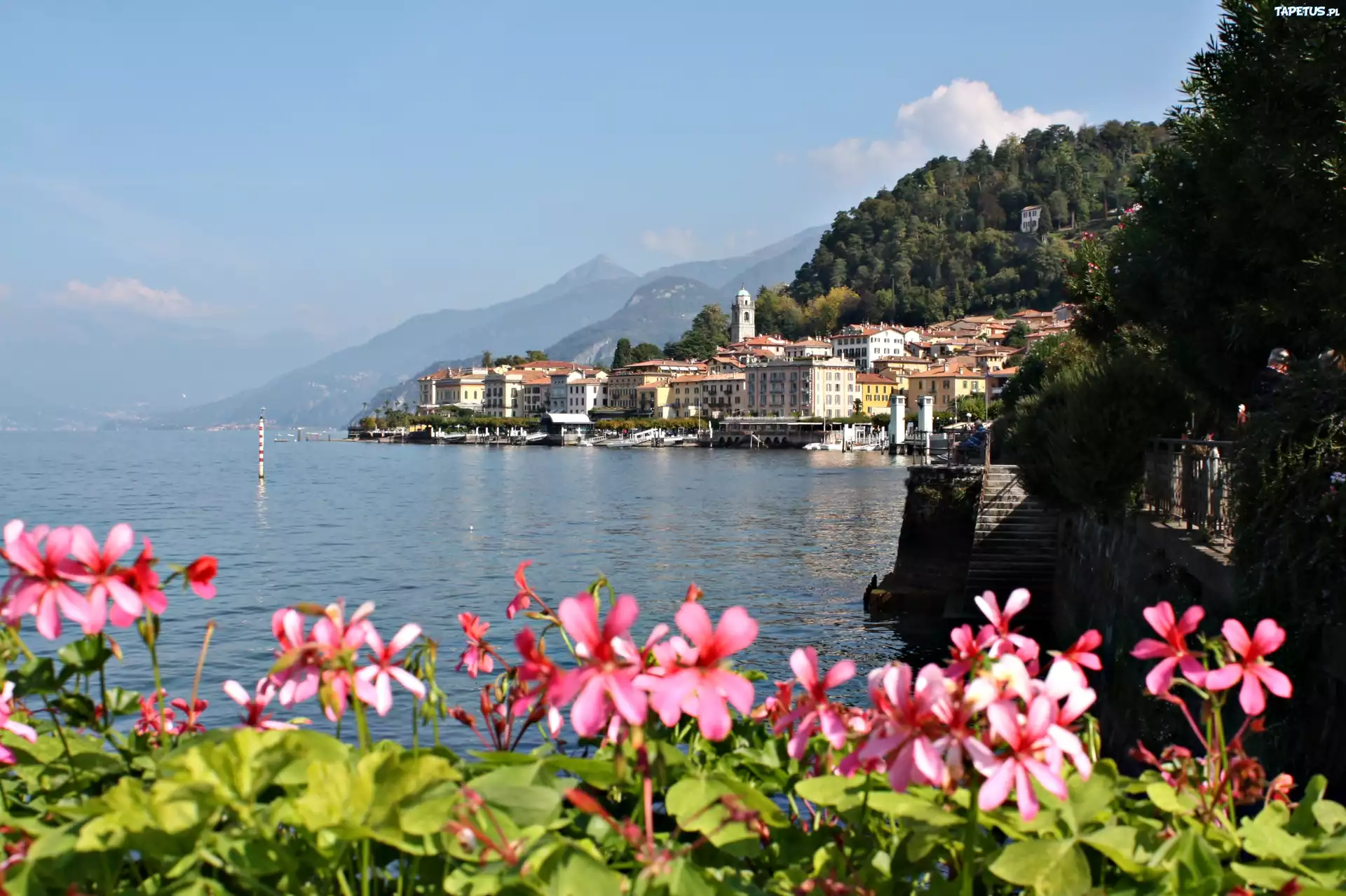Jezioro, Como, Kwiatki, Bellagio, Włochy