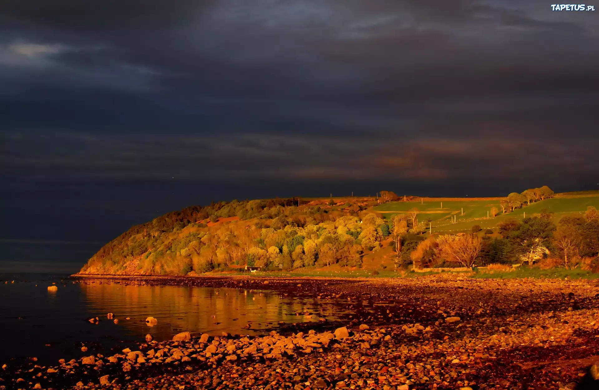 Zatoka, Cromarty, Firth, Szkocja
