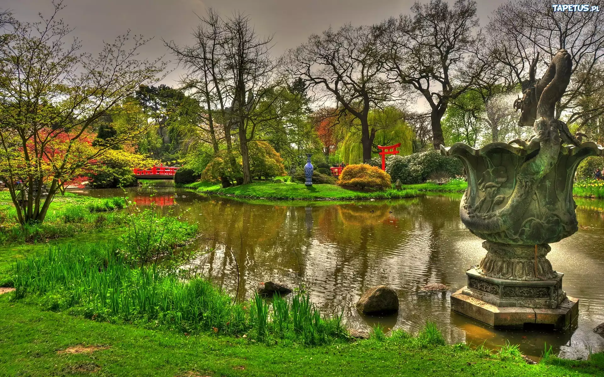 Piękny, Ogród, Staw