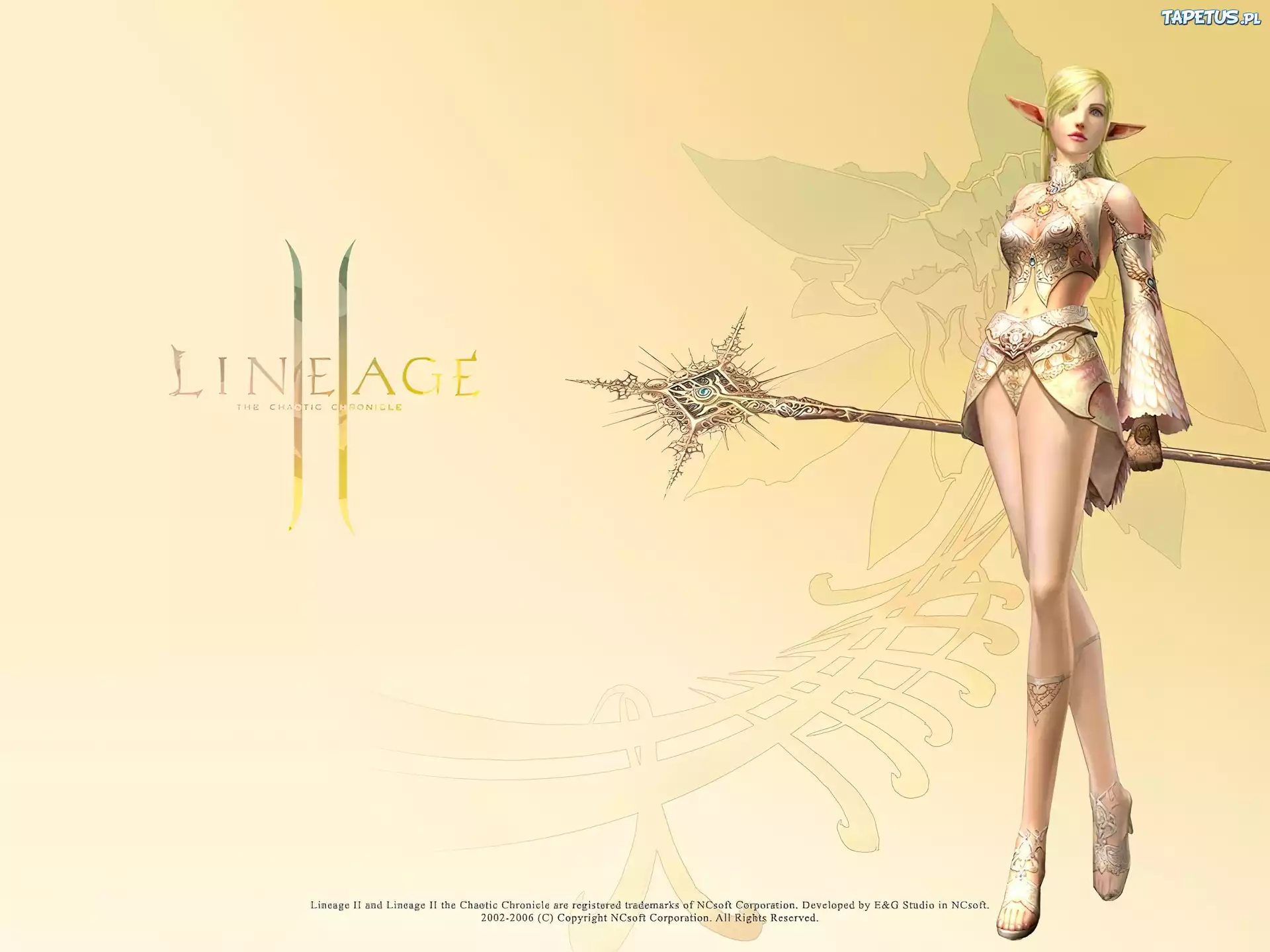 Lineage 2, postacie, kobieta, wojownik, elf