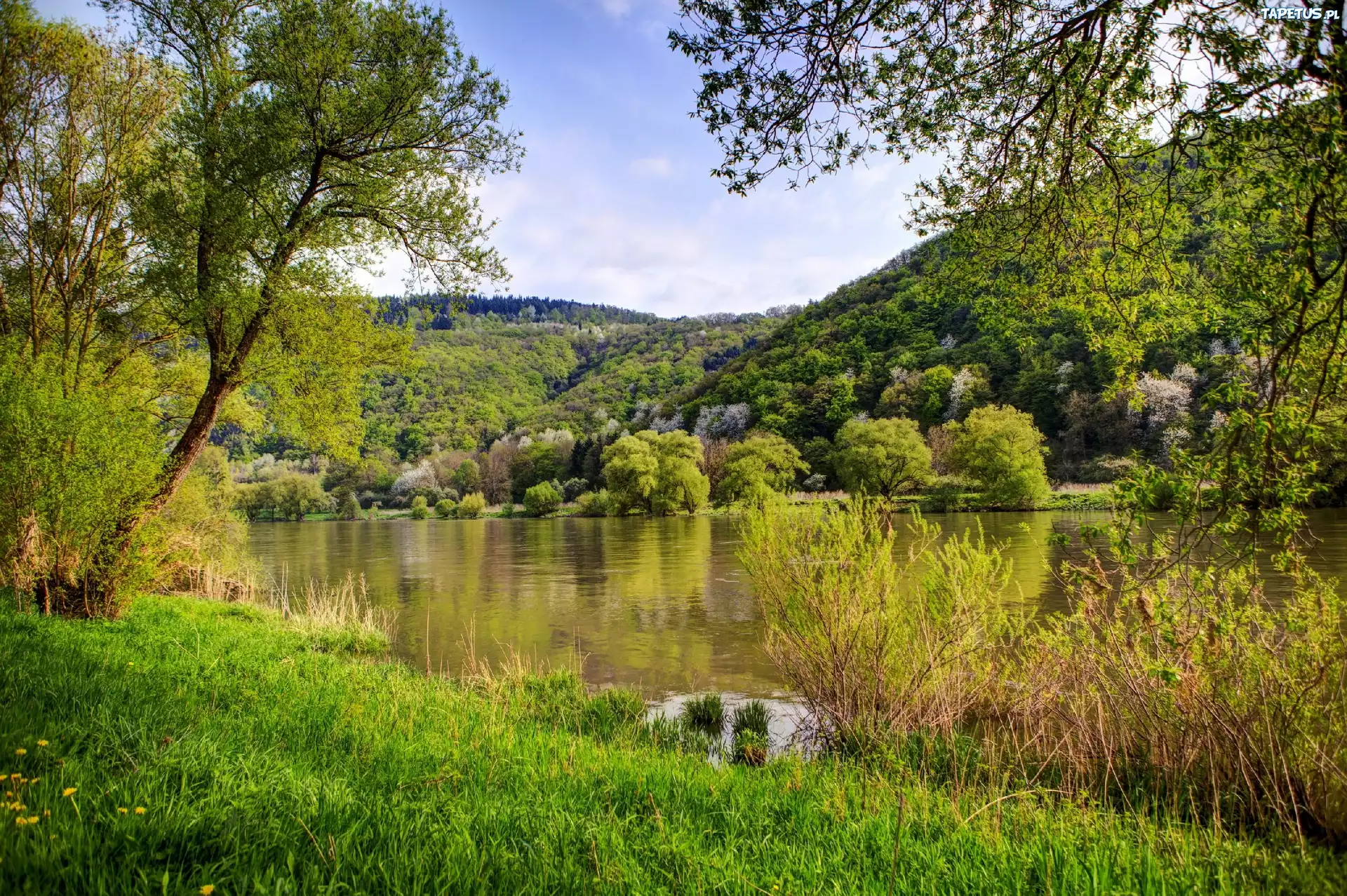 Góry, Jezioro, Drzewa