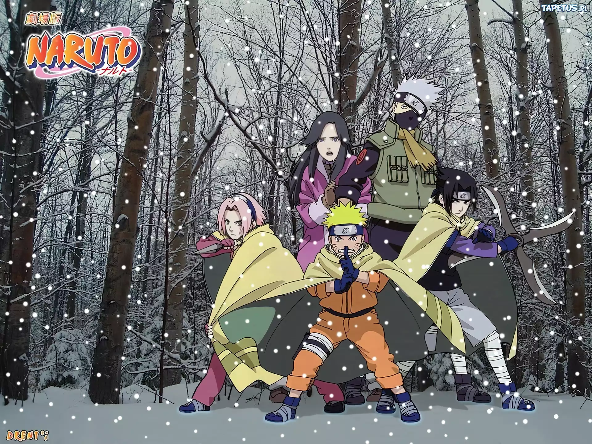 Naruto, ludzie, las, śnieg