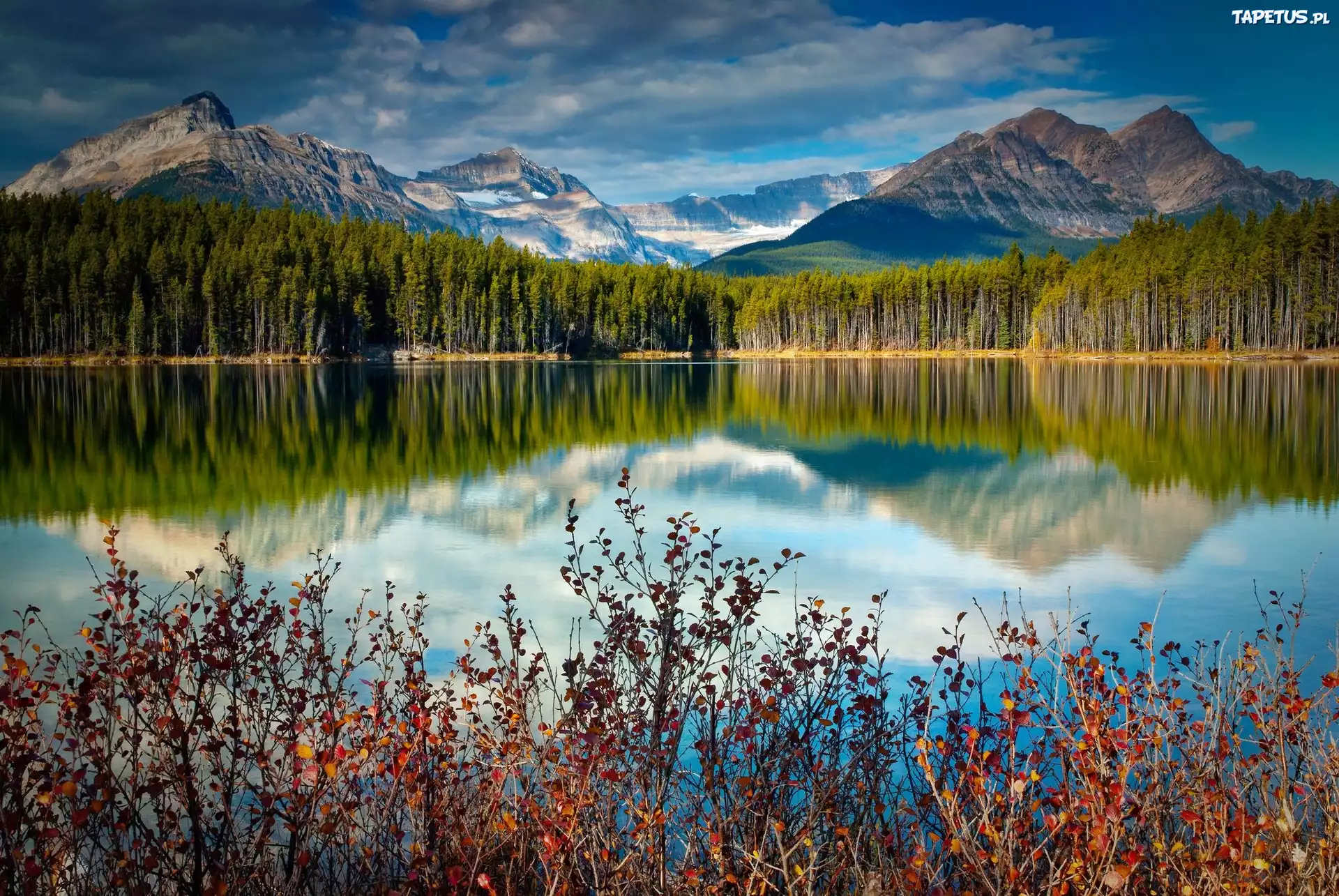 горы озеро отражение лес бесплатно