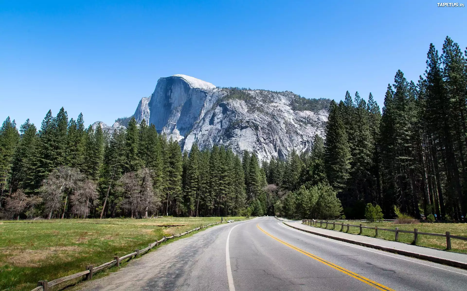 Góry, Lasy, Droga, Park Narodowy Yosemite