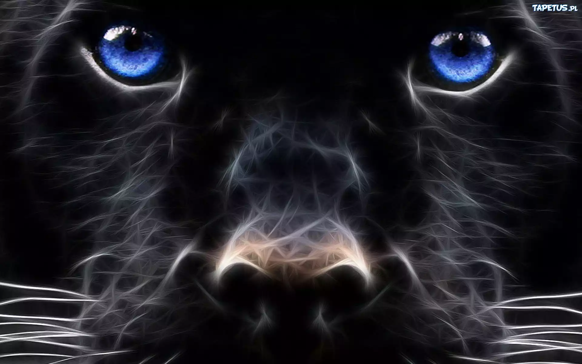 Czarna, Pantera, Fractalius