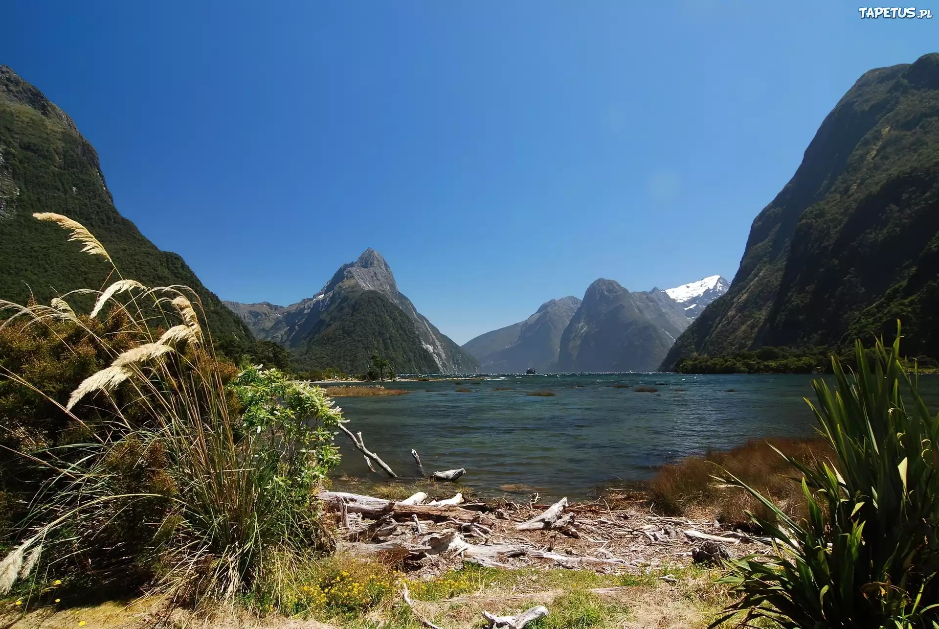Jezioro, Góry, Milford Sound, Nowa Zelandia