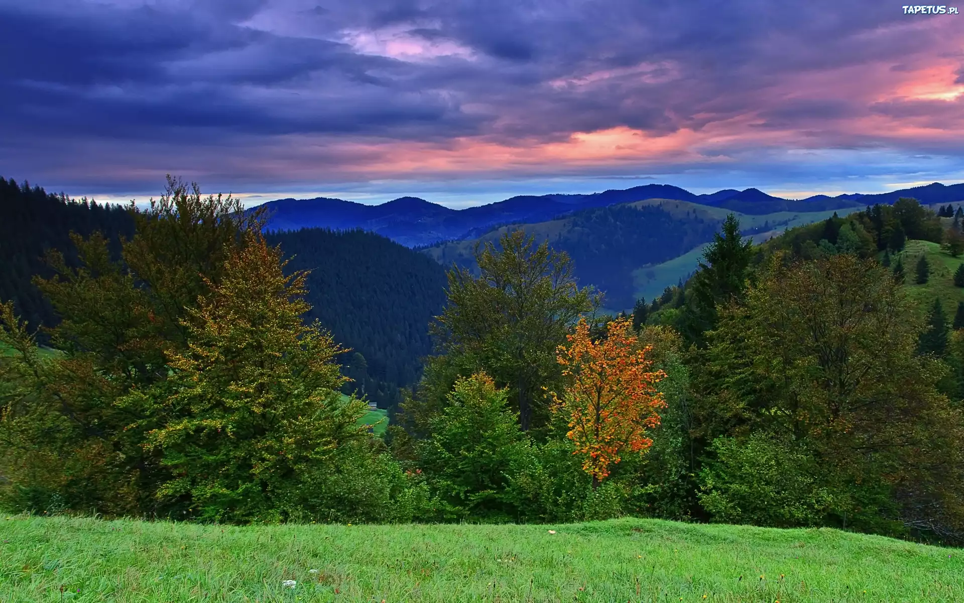 Góry, Lasy, Łąka, Chmury