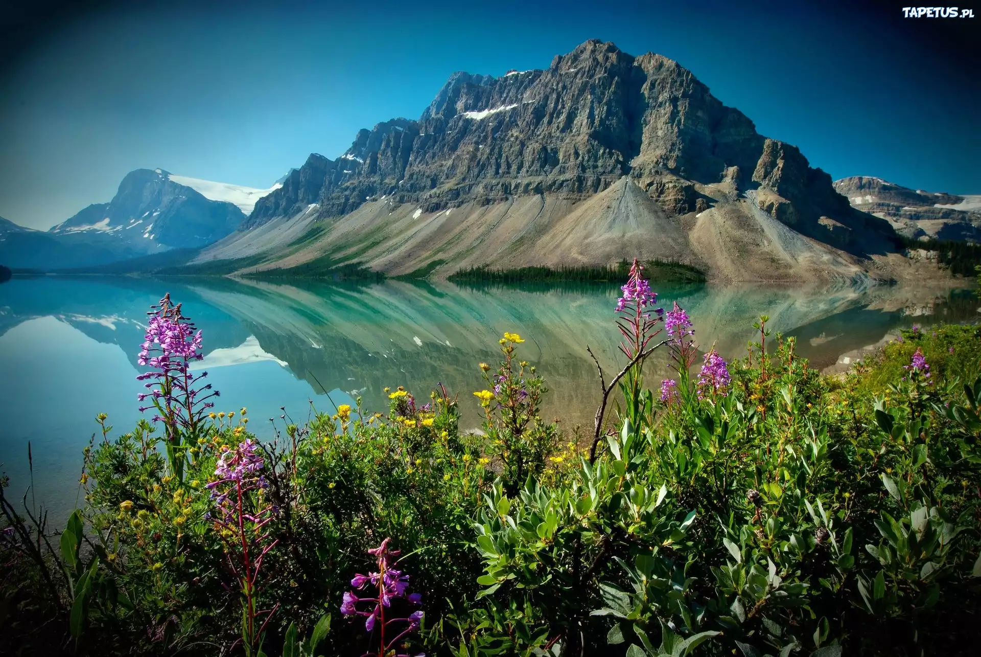 Góry, Jezioro Alberta, Kanada