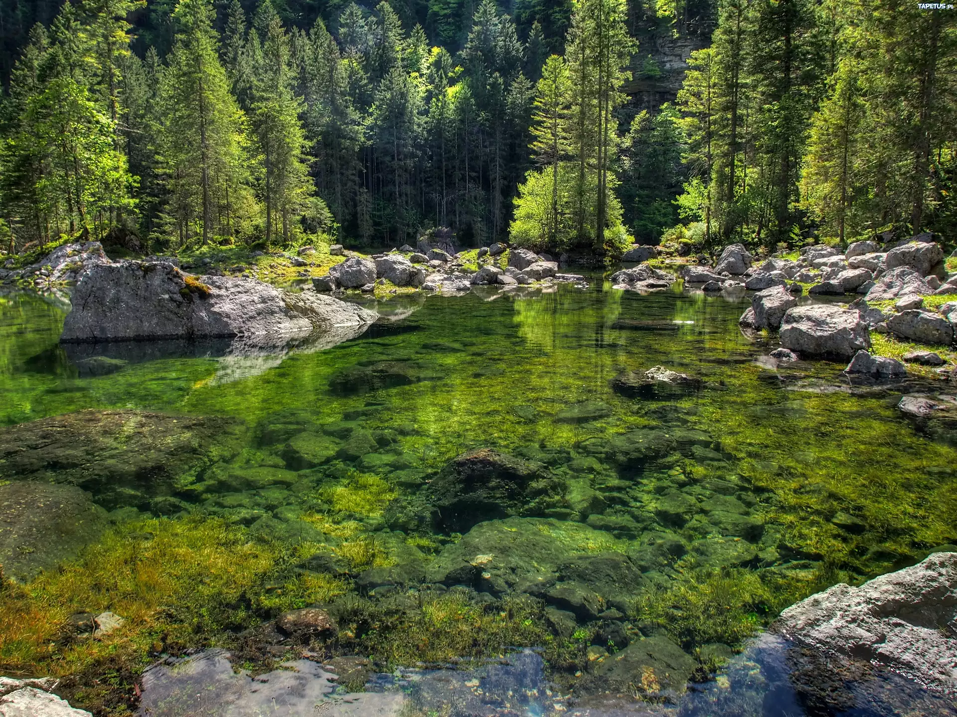 И тихая прозрачная вода. Каменистые речки Карелии. Лес река камни. Каменистый берег озера. Природа река камни.