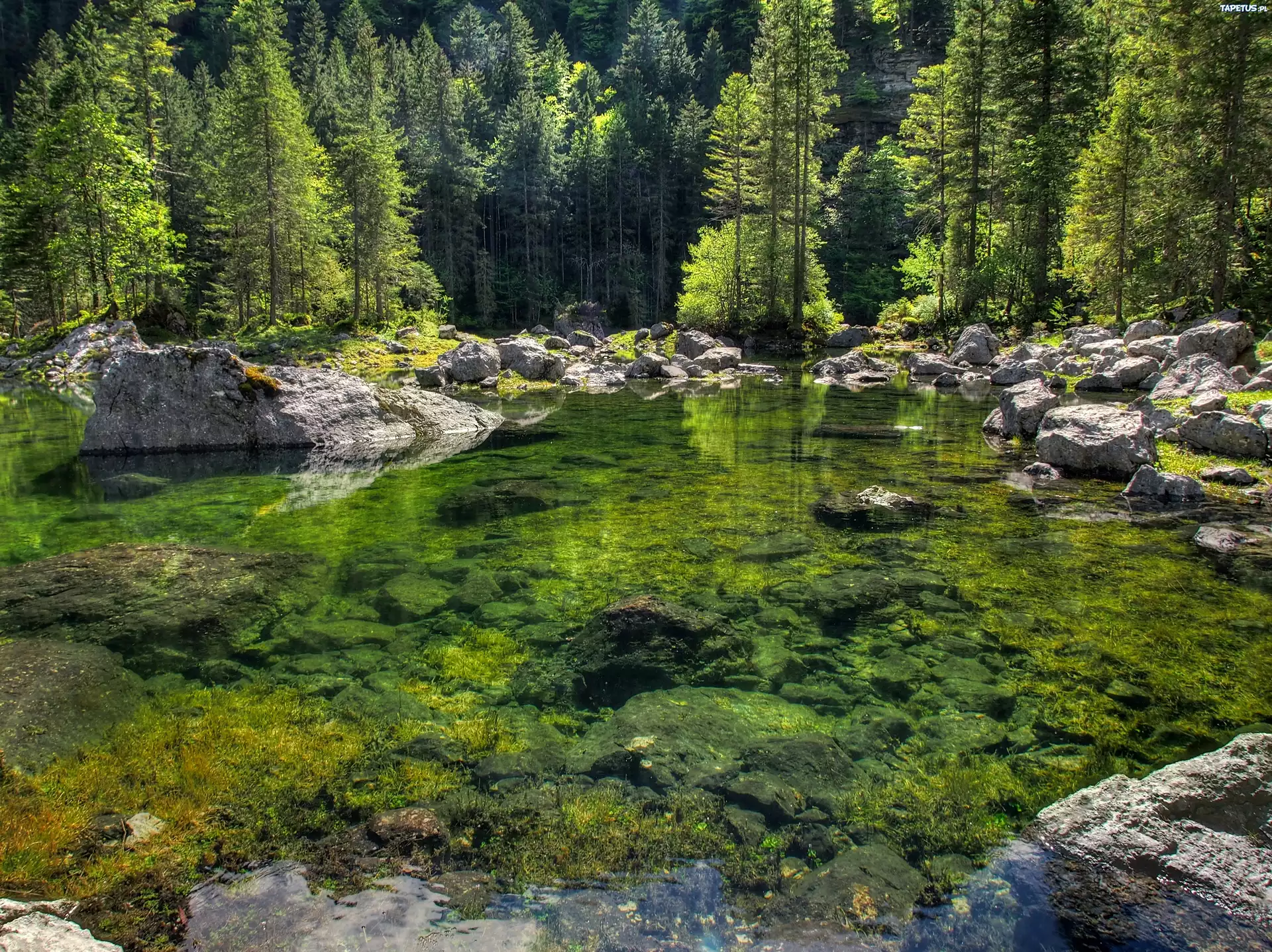 Stone river. Каменистые речки Карелии. Лес река камни. Каменистый берег озера. Природа река камни.